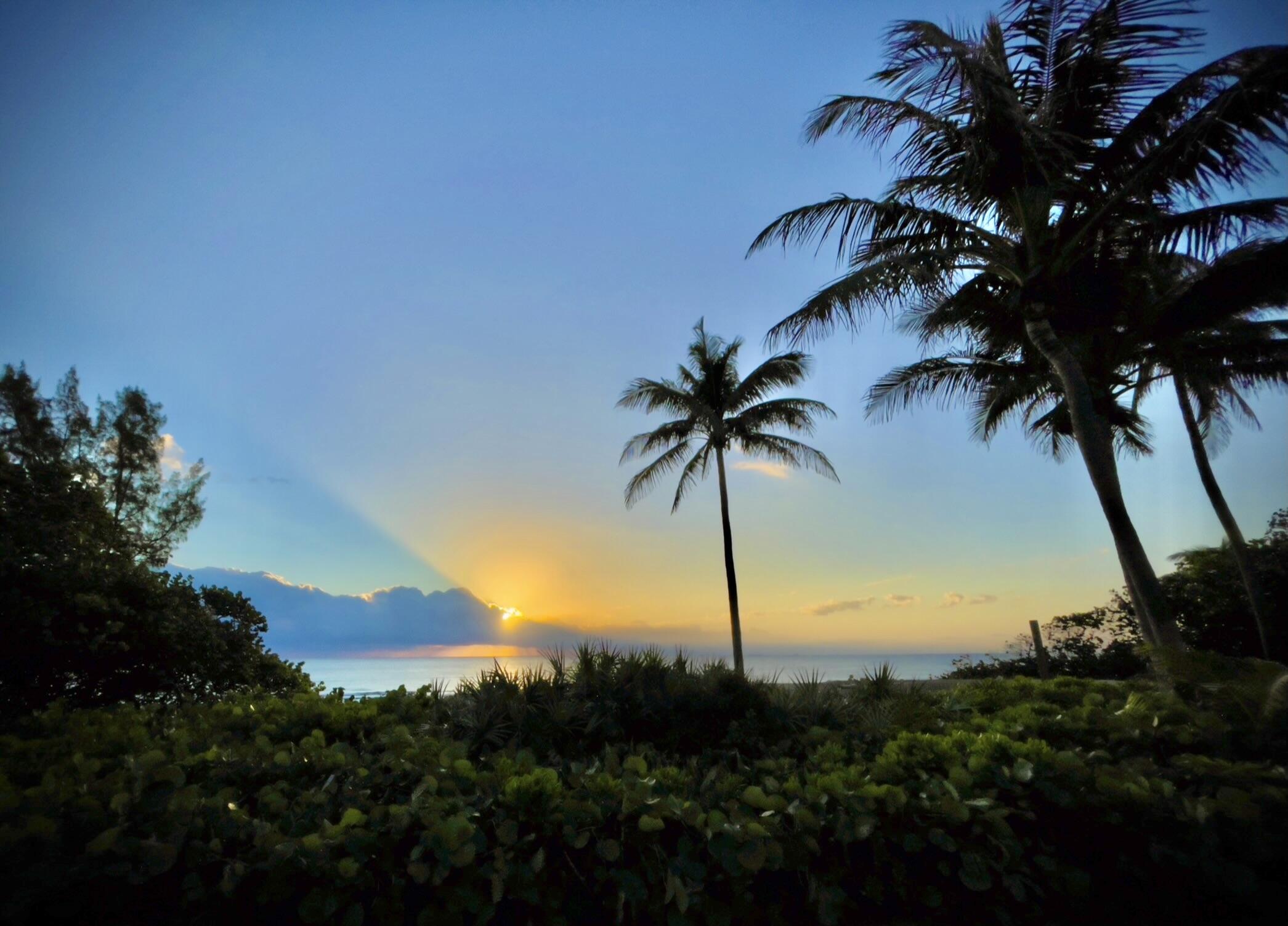 MLS #RX-11142679 image #32