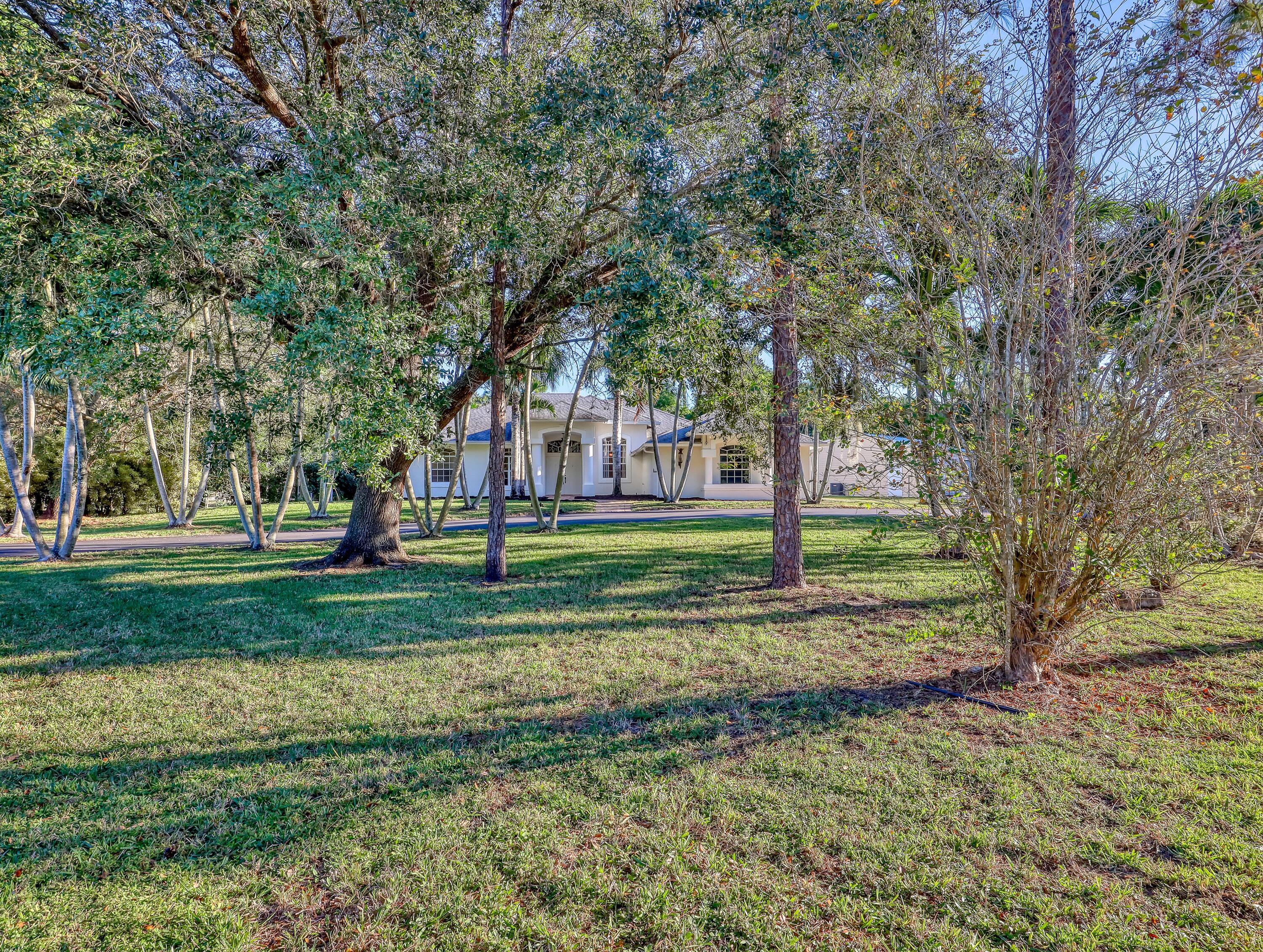 MLS #RX-11142761 image #4