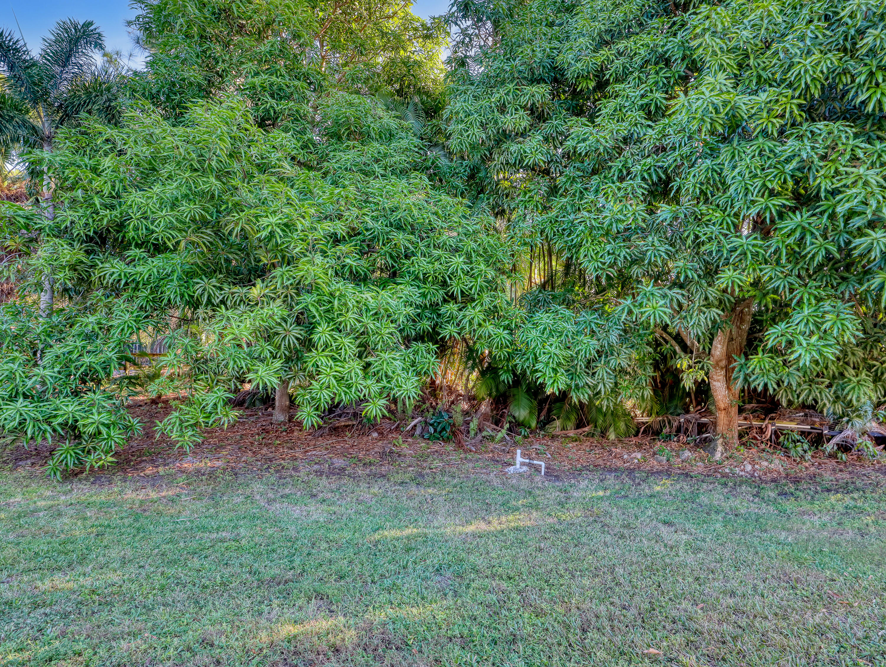 MLS #RX-11142761 image #56