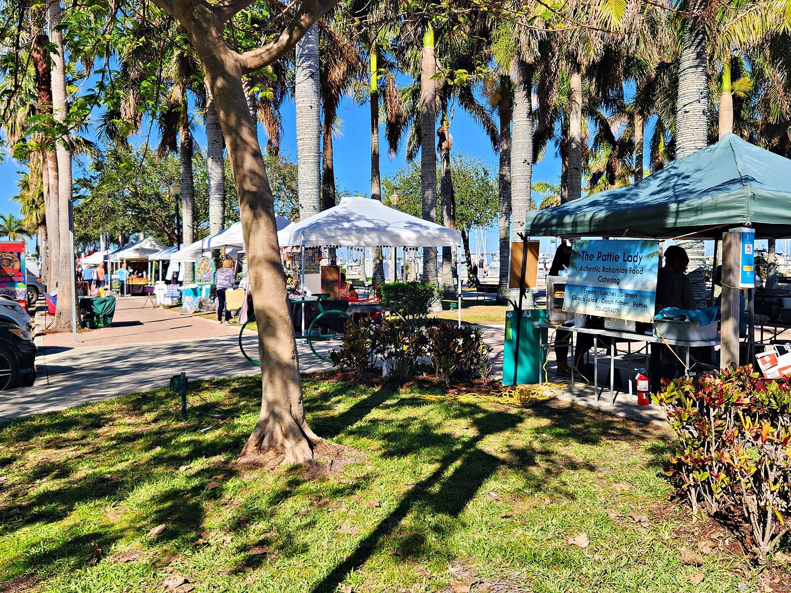 MLS #RX-11142771 image #12