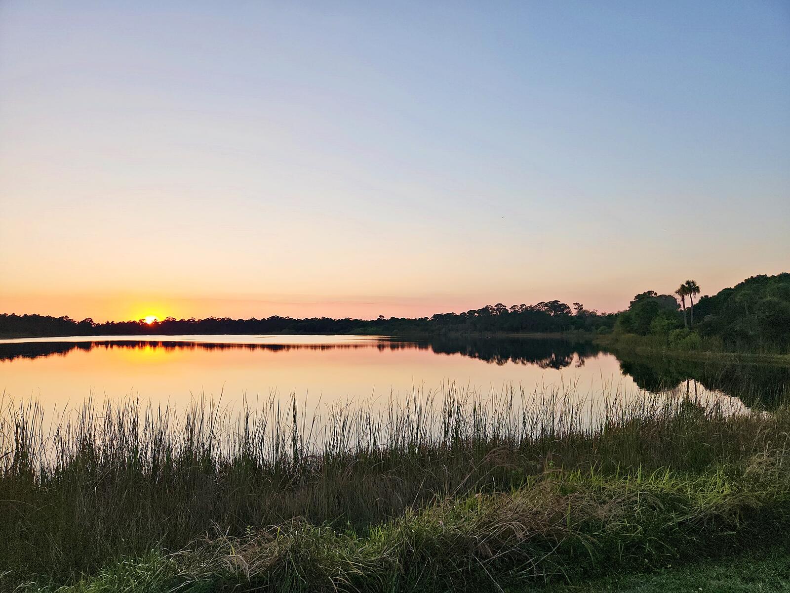 MLS #RX-11142771 image #19