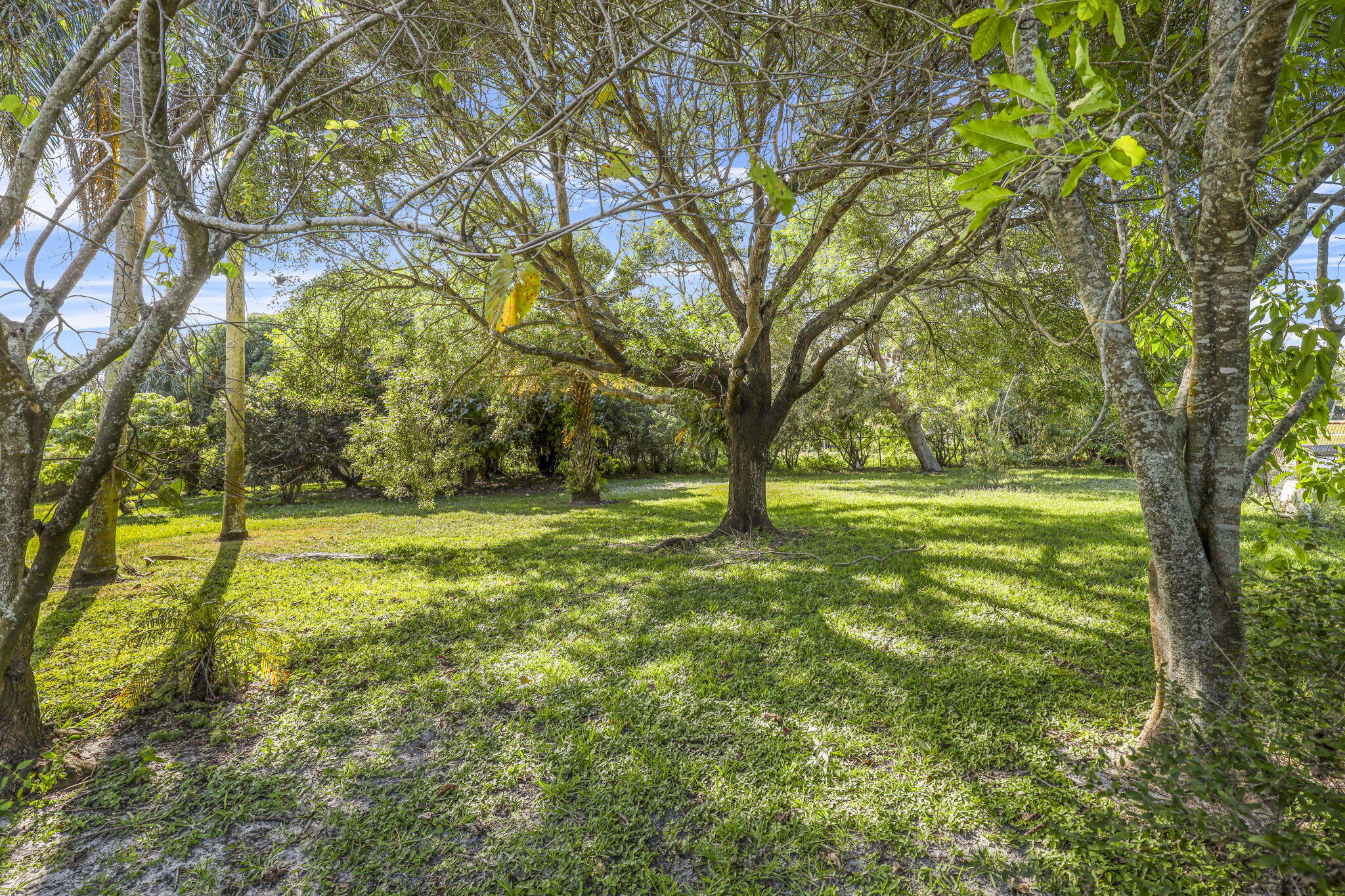 MLS #RX-11142797 image #46