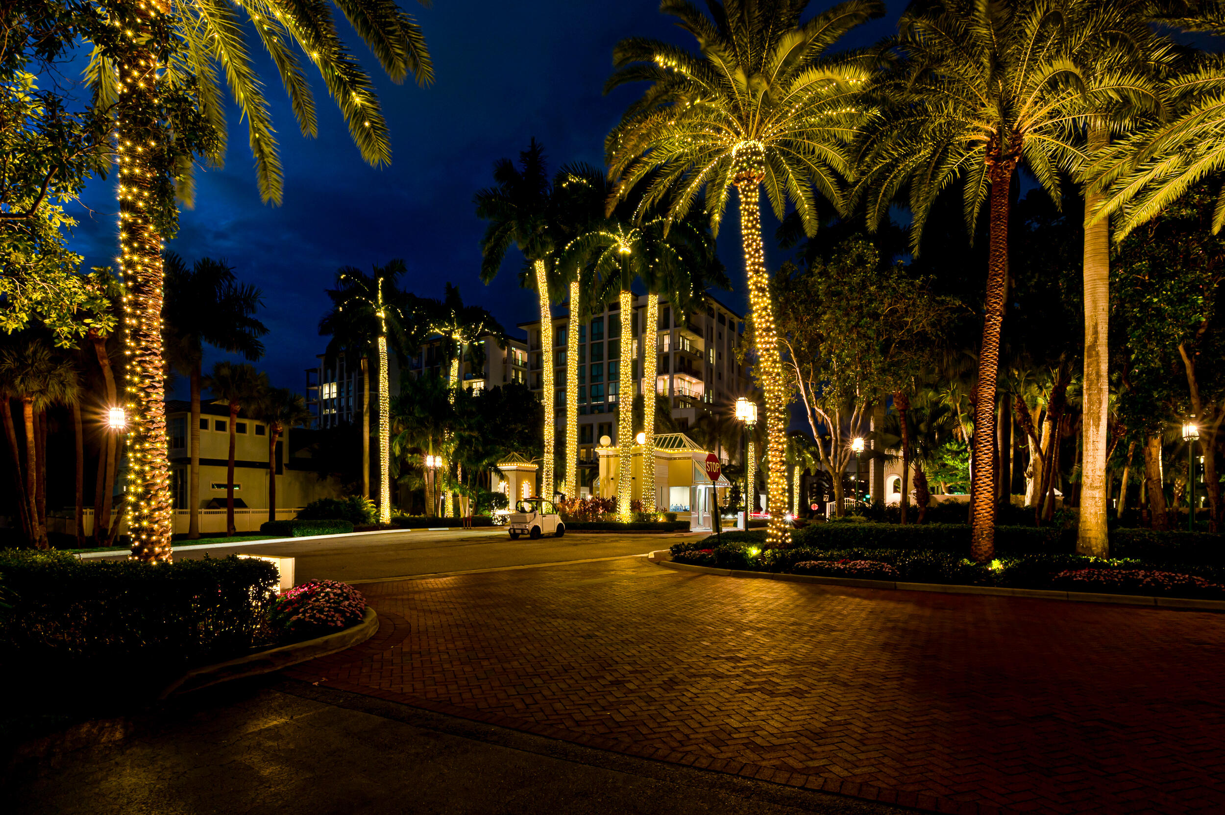 MLS #RX-11142838 image #55