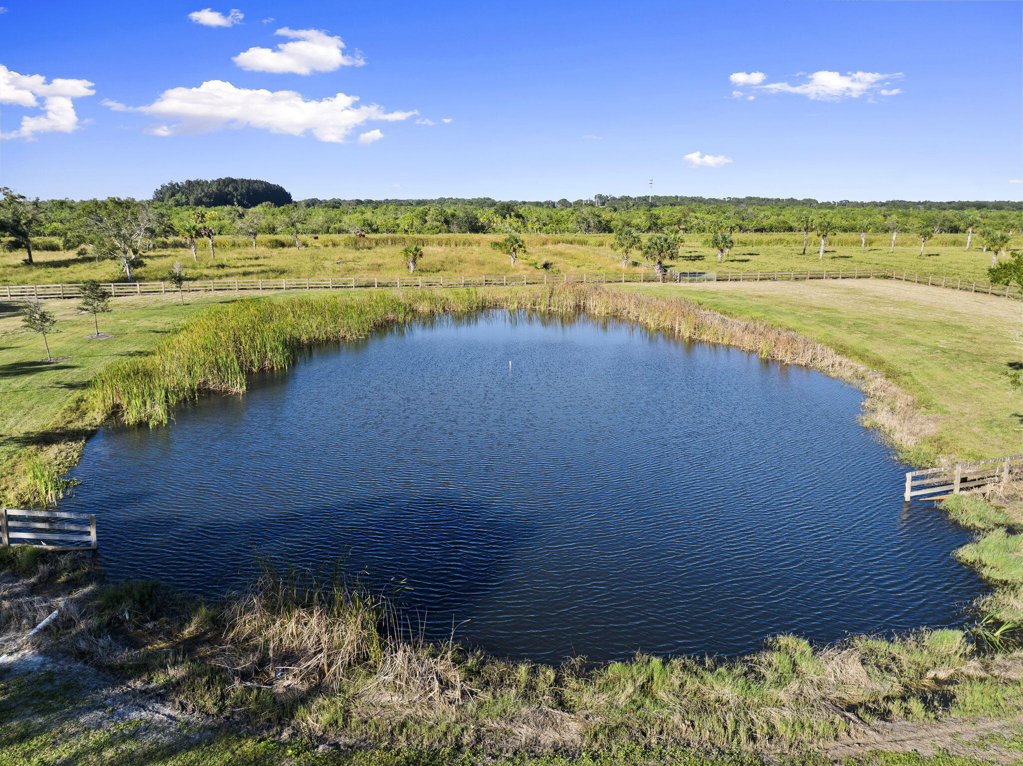 MLS #RX-11142851 image #17