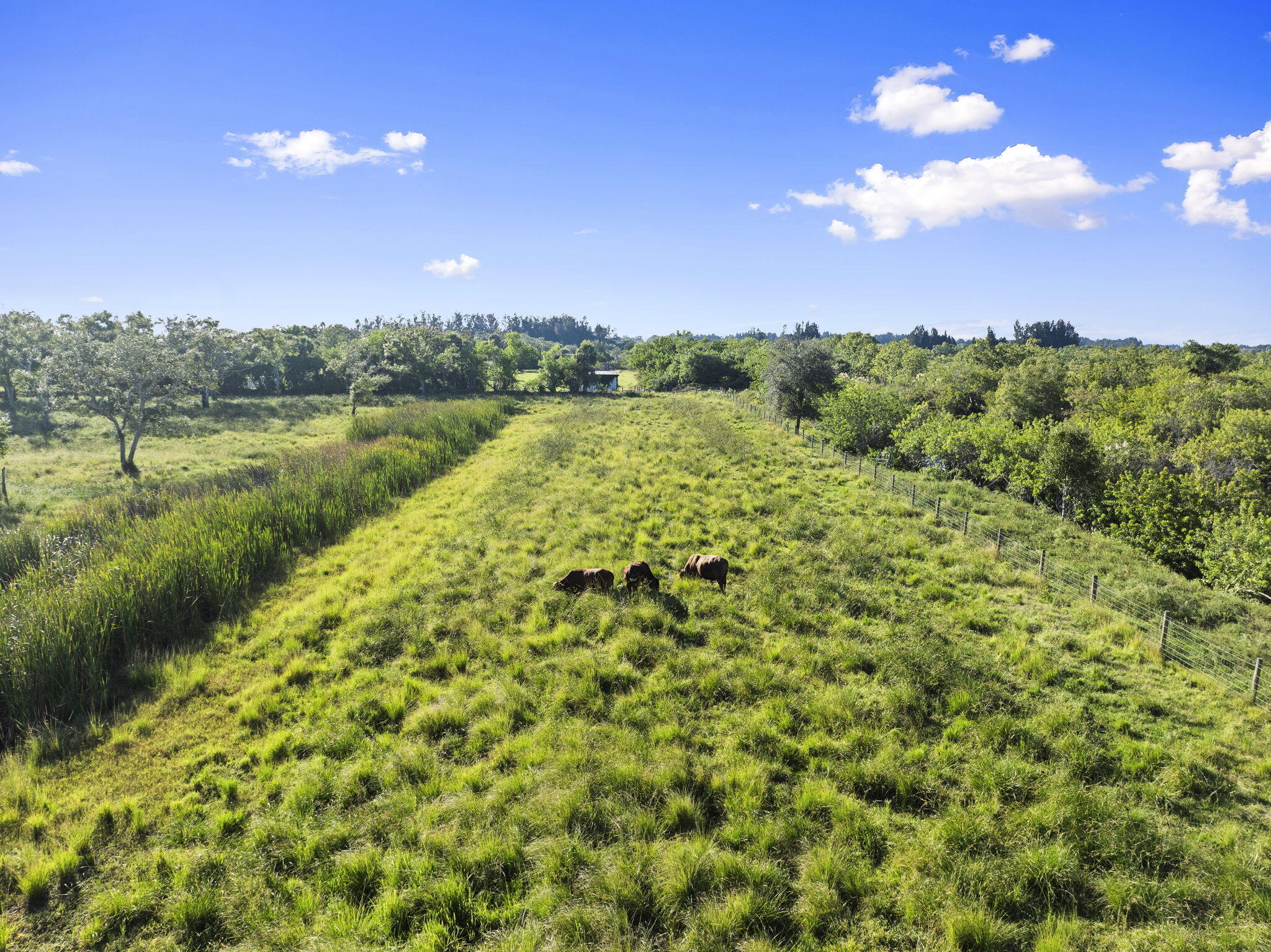 MLS #RX-11142851 image #27