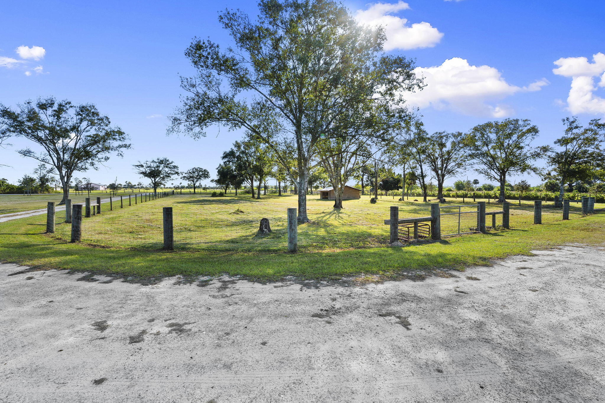 MLS #RX-11142851 image #99