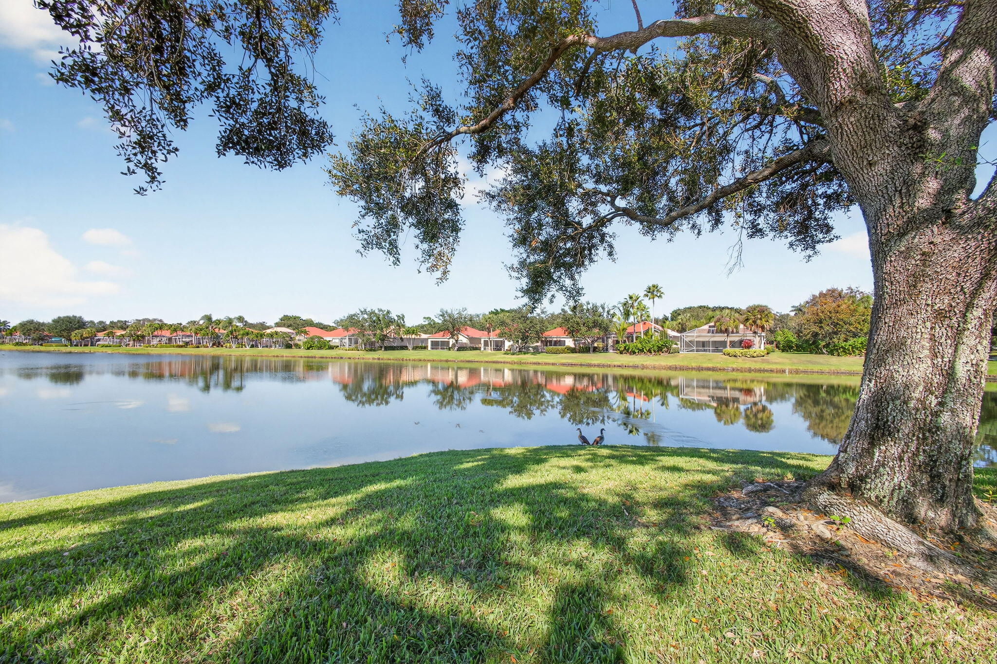 MLS #RX-11142961 image #39