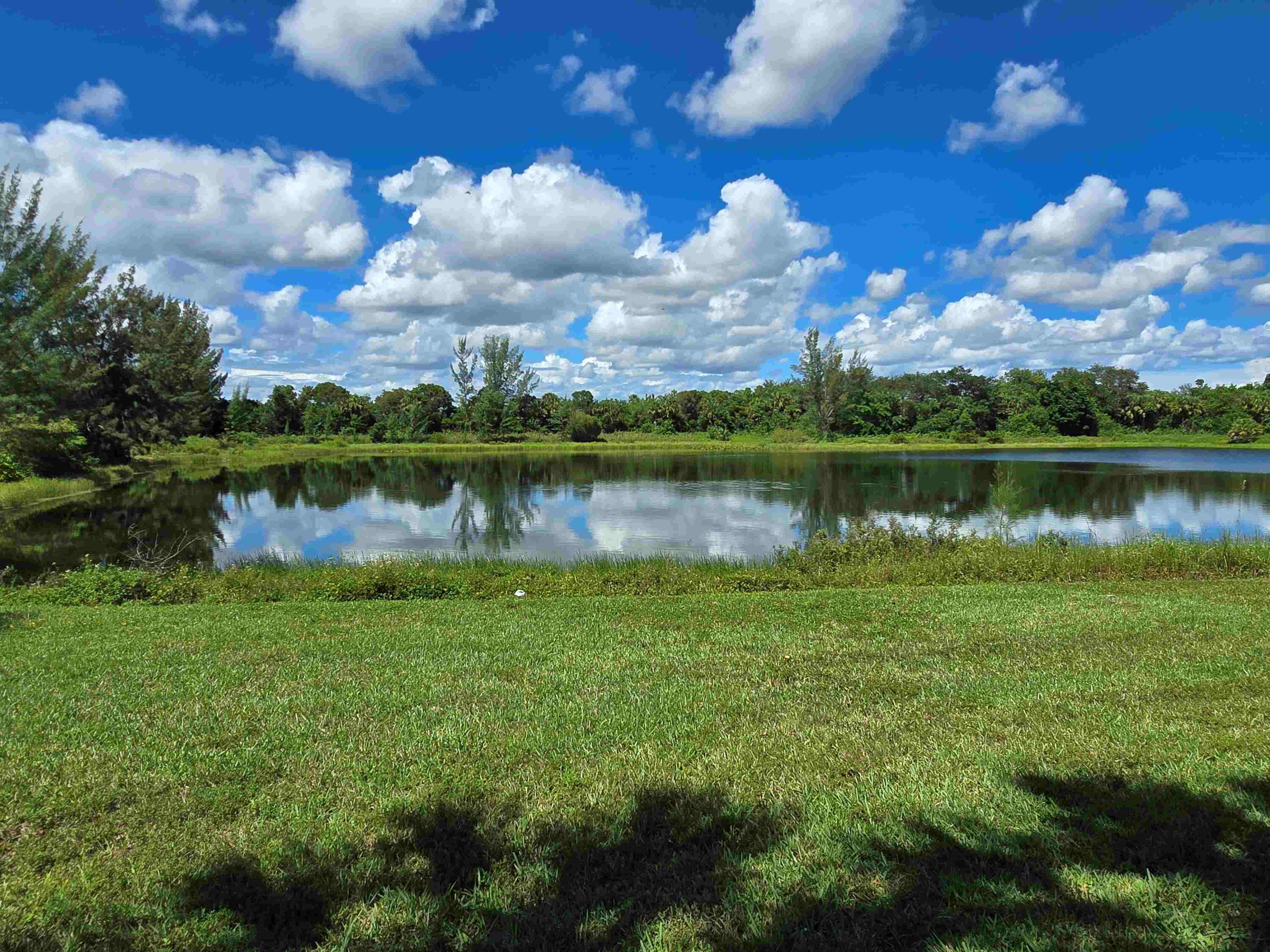 MLS #RX-11108601 image #11