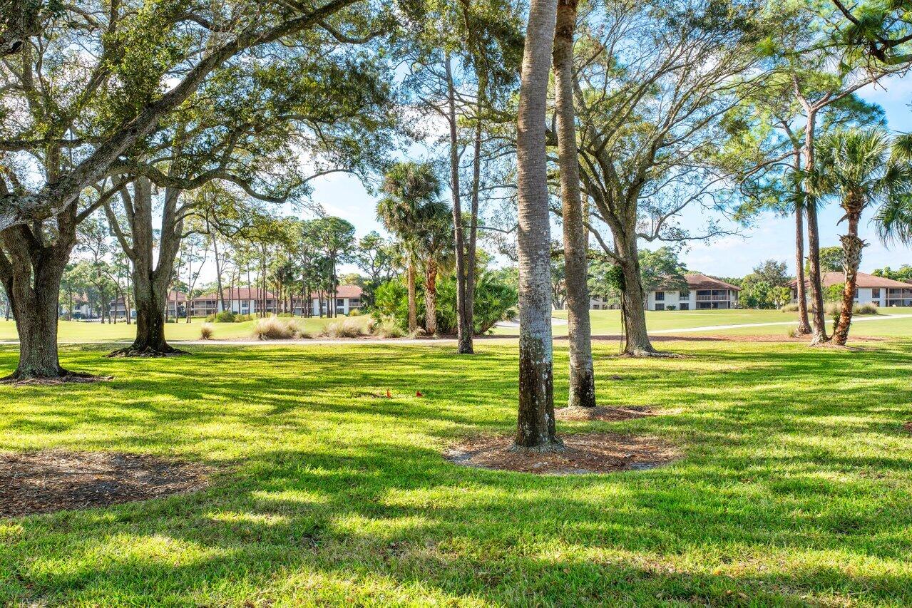 MLS #RX-11143102 image #12