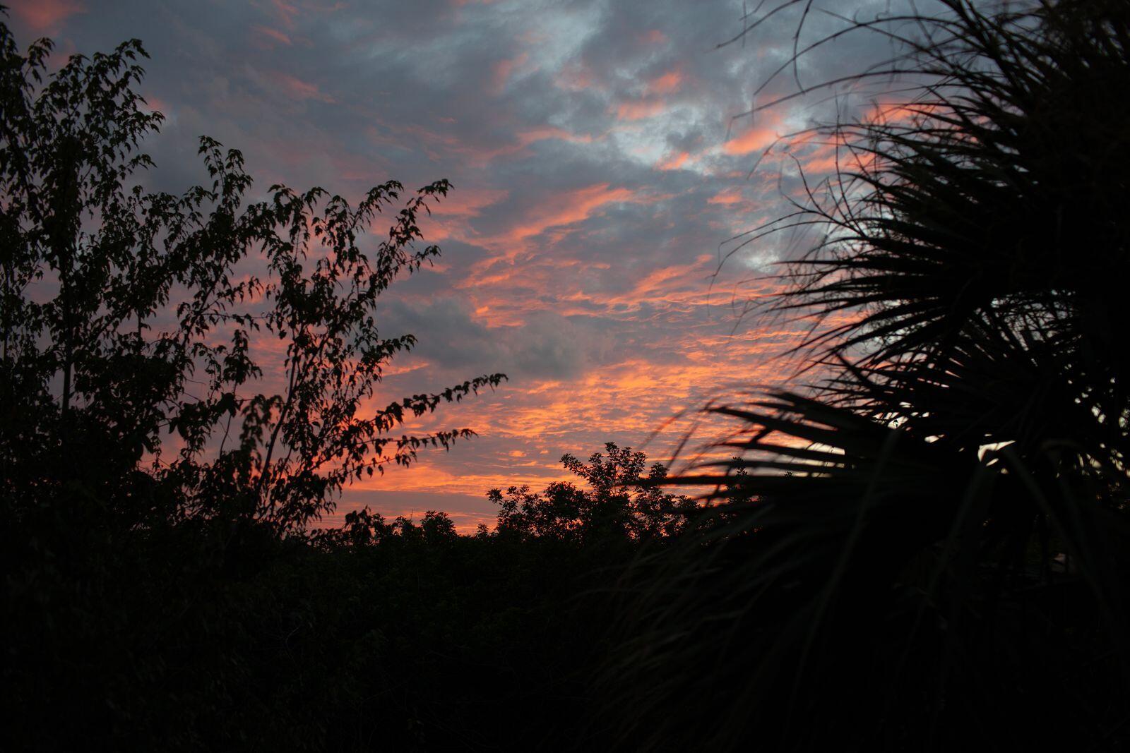 MLS #RX-11143143 image #37