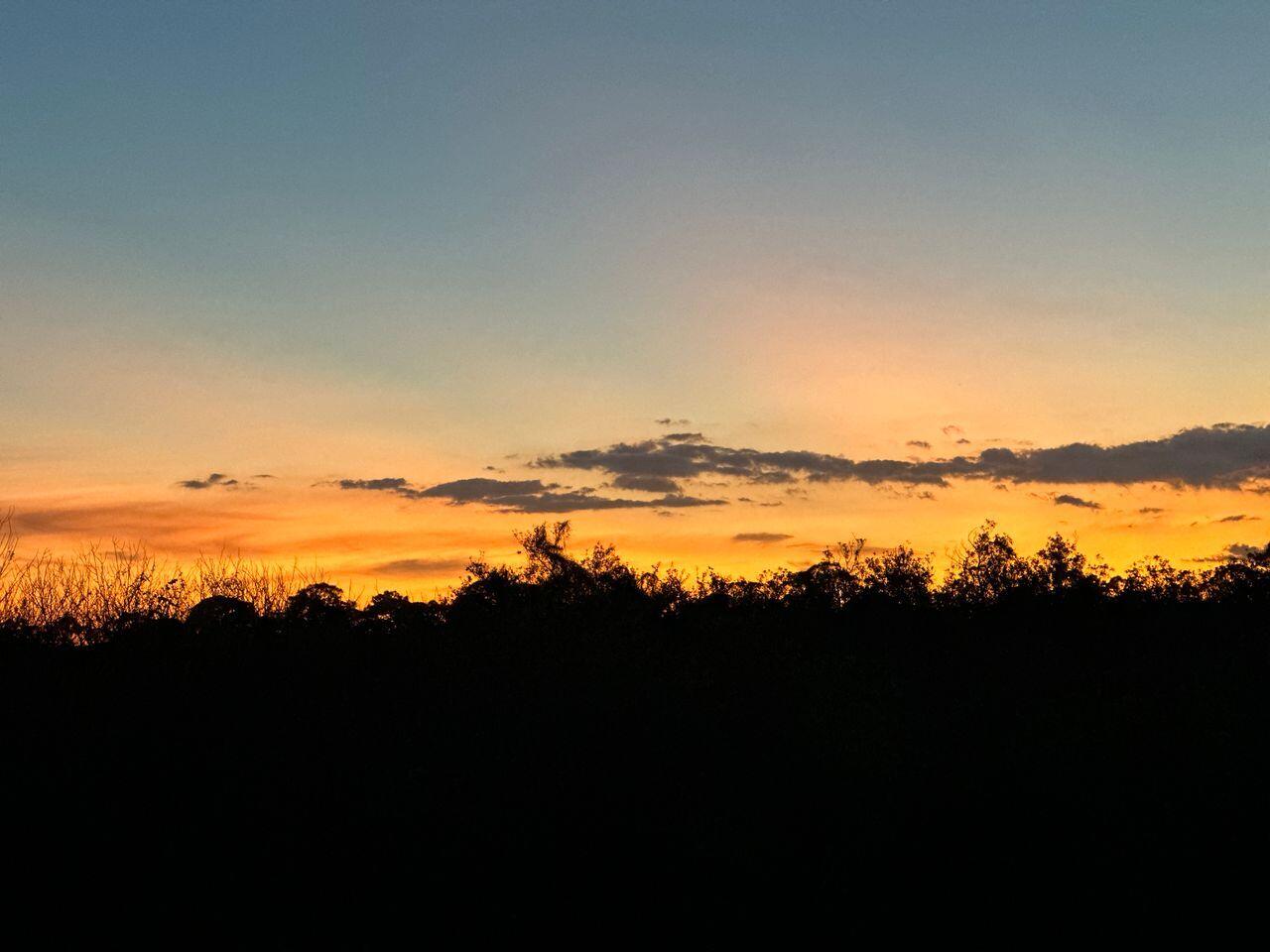 MLS #RX-11143143 image #38