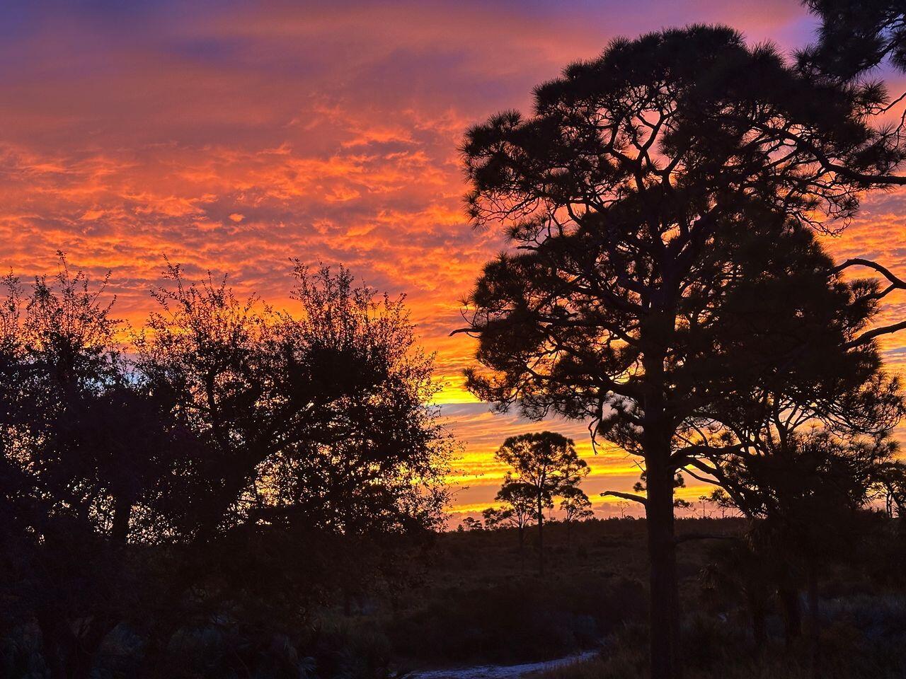 MLS #RX-11143143 image #39