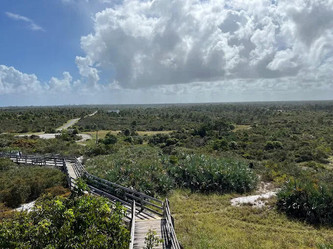 MLS #RX-11143143 image #46