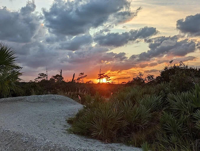 MLS #RX-11143143 image #52