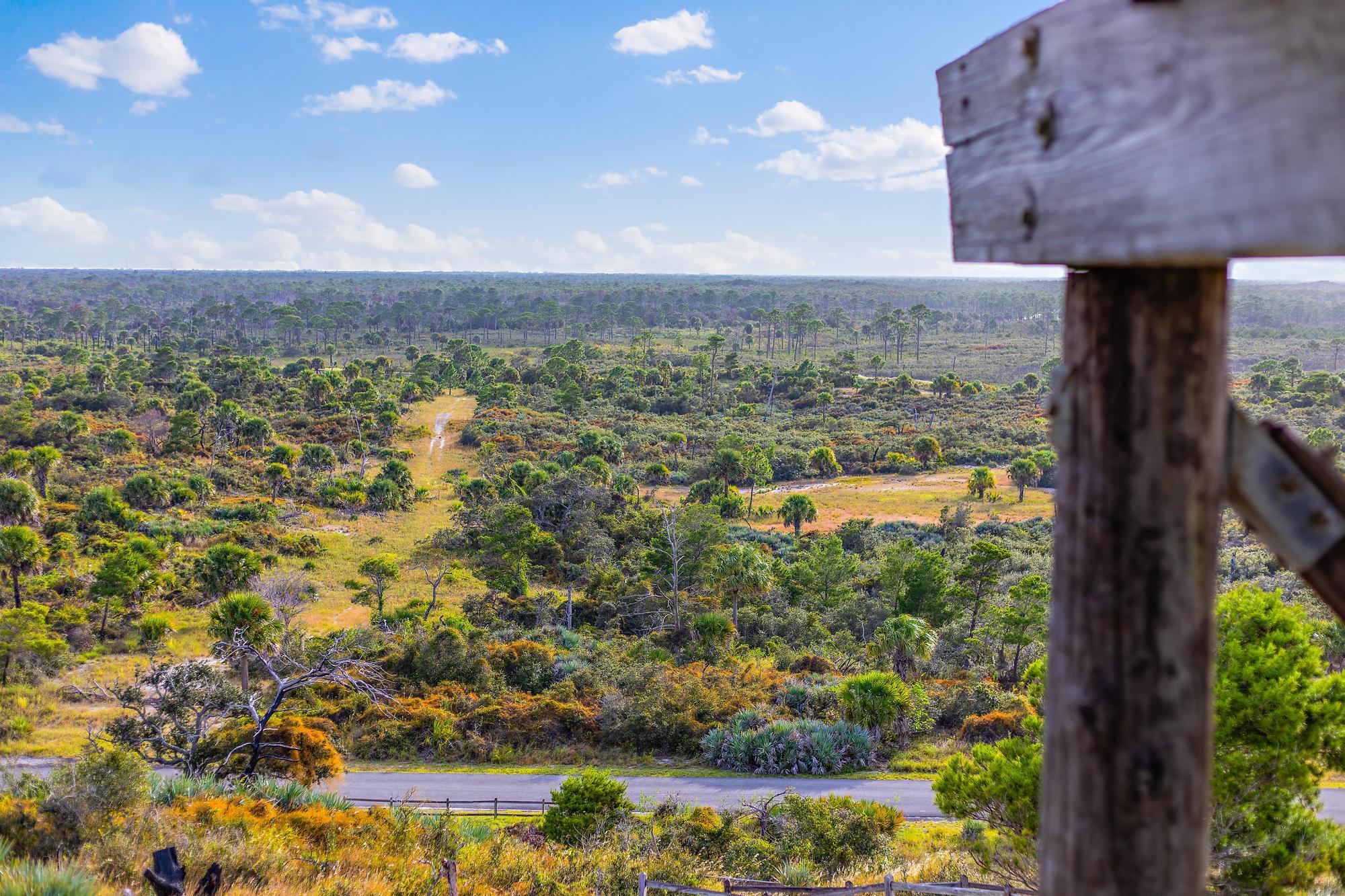 MLS #RX-11143143 image #61