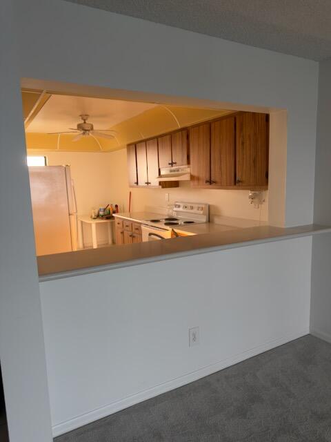 MLS #RX-11143176 image #17