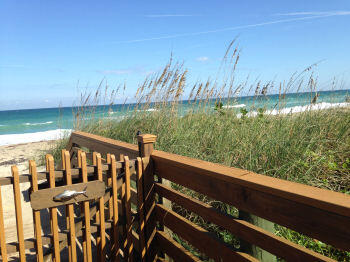 MLS #RX-10942955 image #4