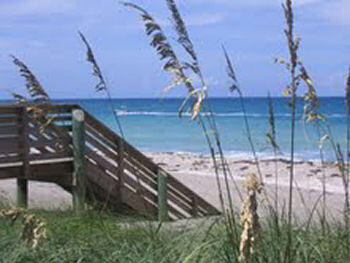 MLS #RX-10942955 image #5