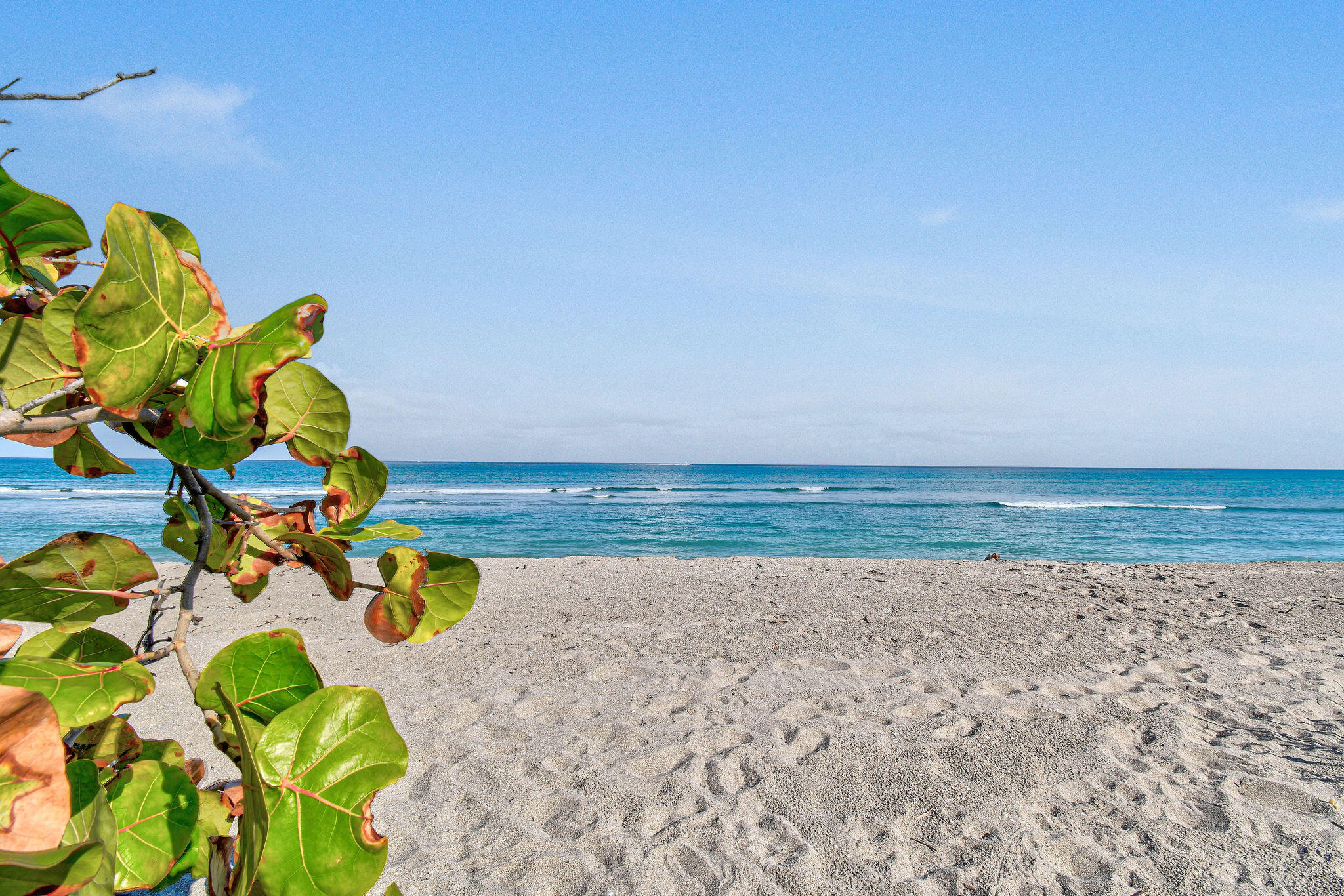 MLS #RX-11143427 image #36