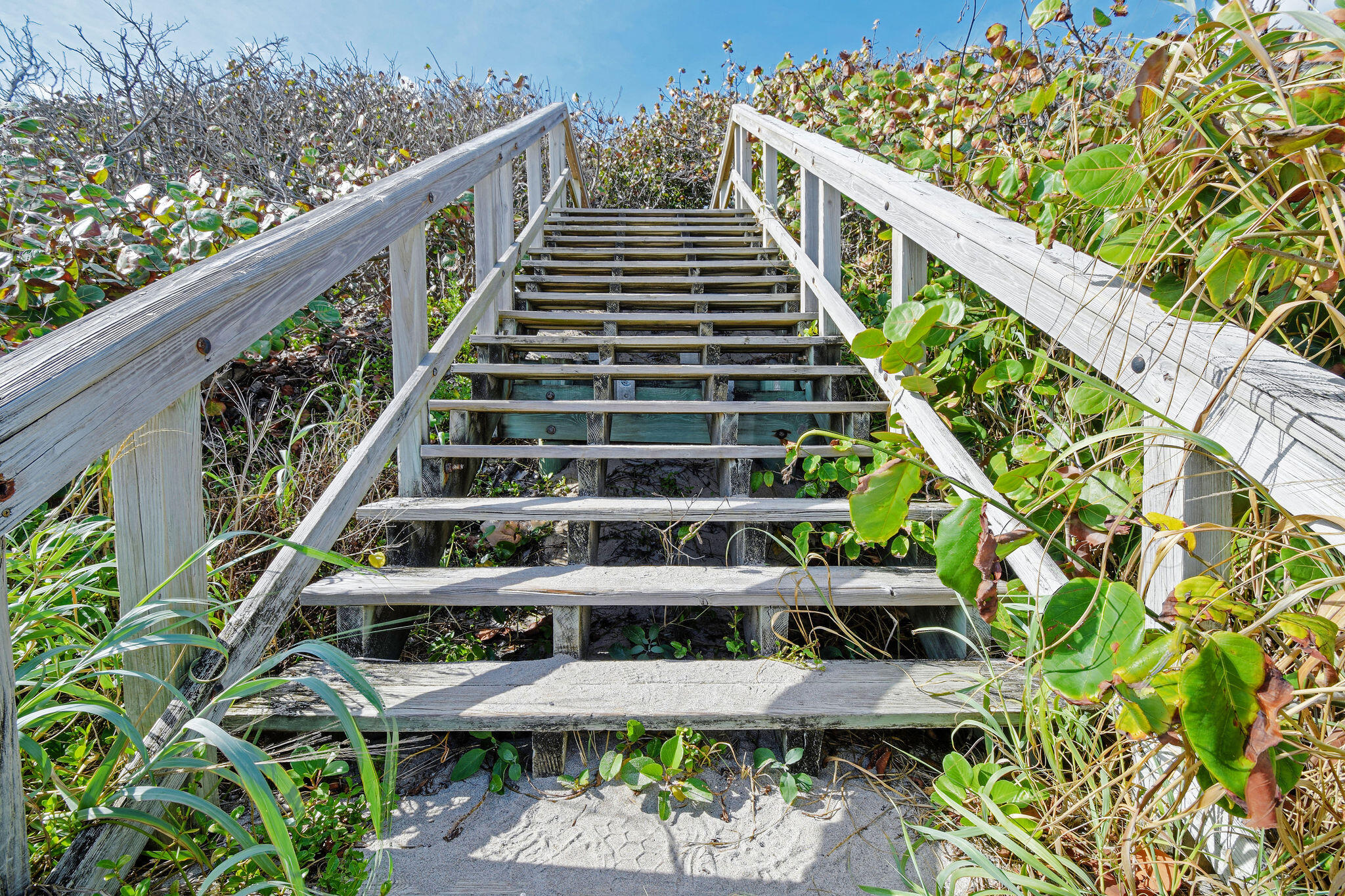 MLS #RX-11143427 image #44