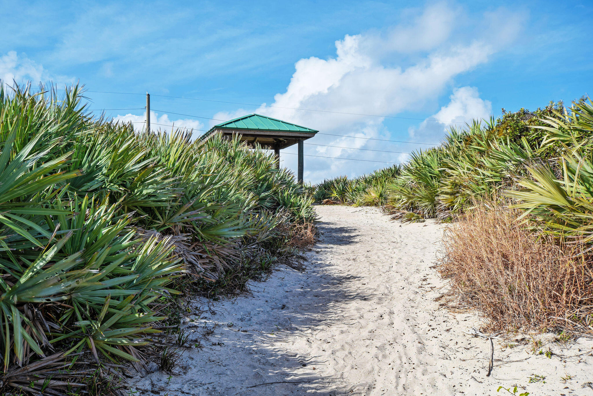 MLS #RX-11143427 image #51