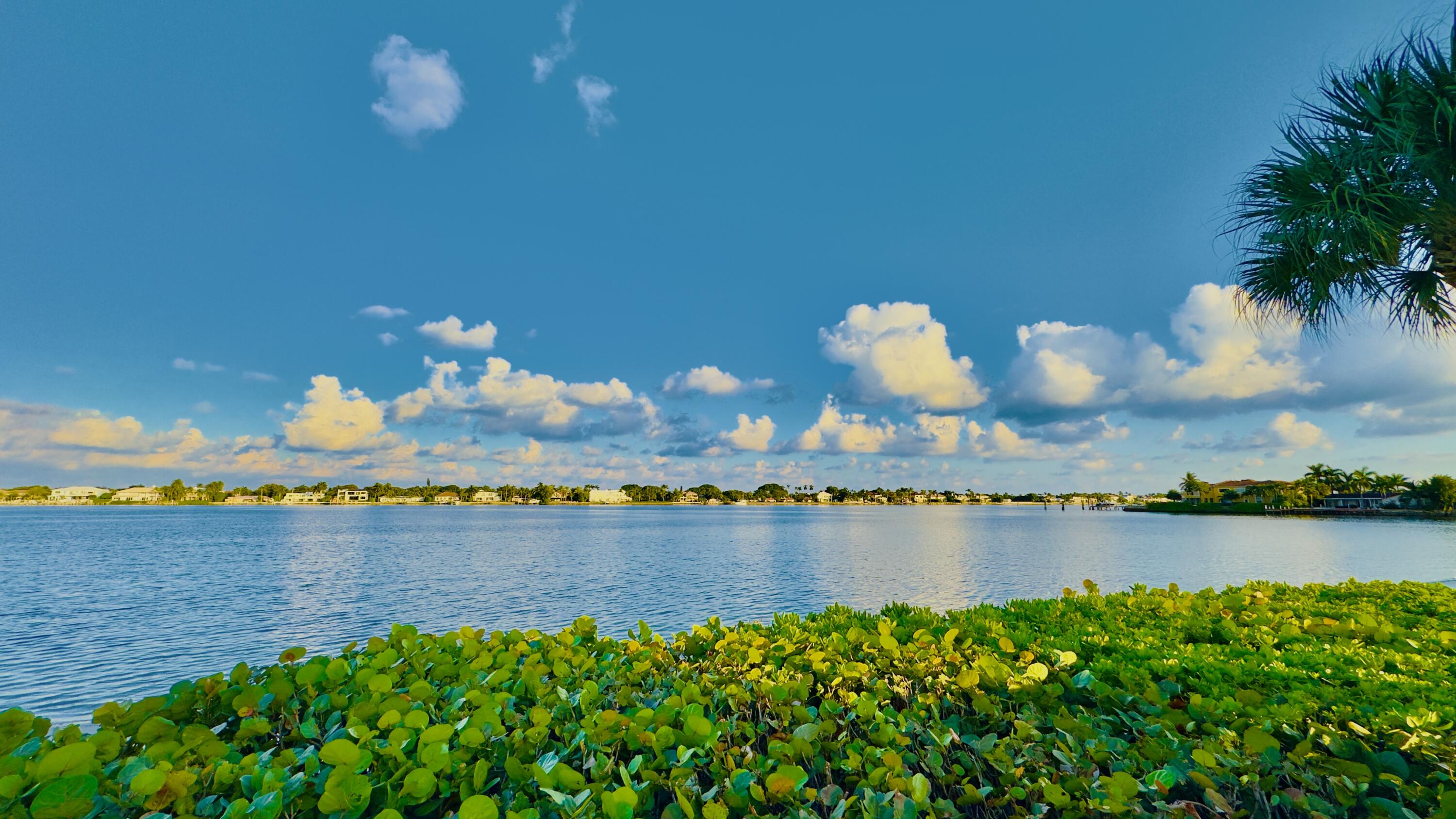 MLS #RX-11143466 image #11