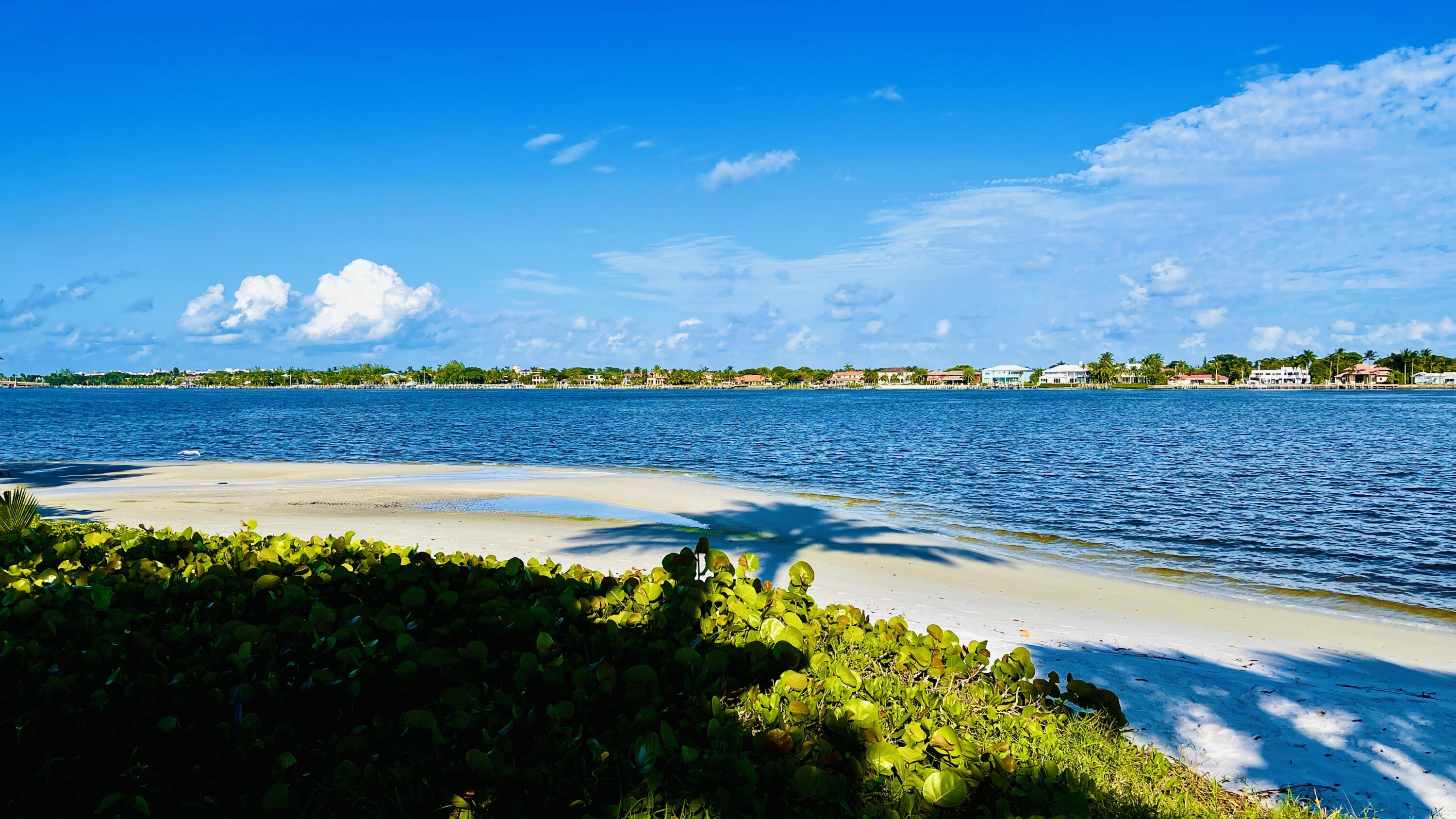 MLS #RX-11143466 image #50