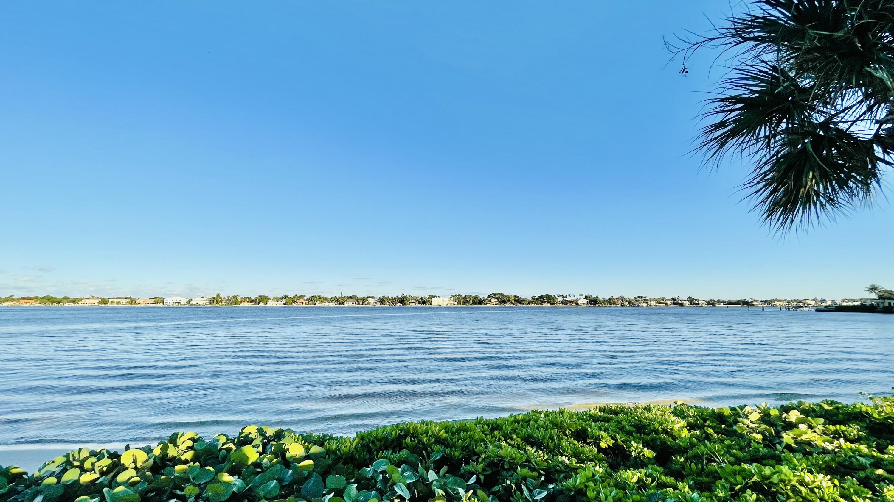 MLS #RX-11143466 image #60