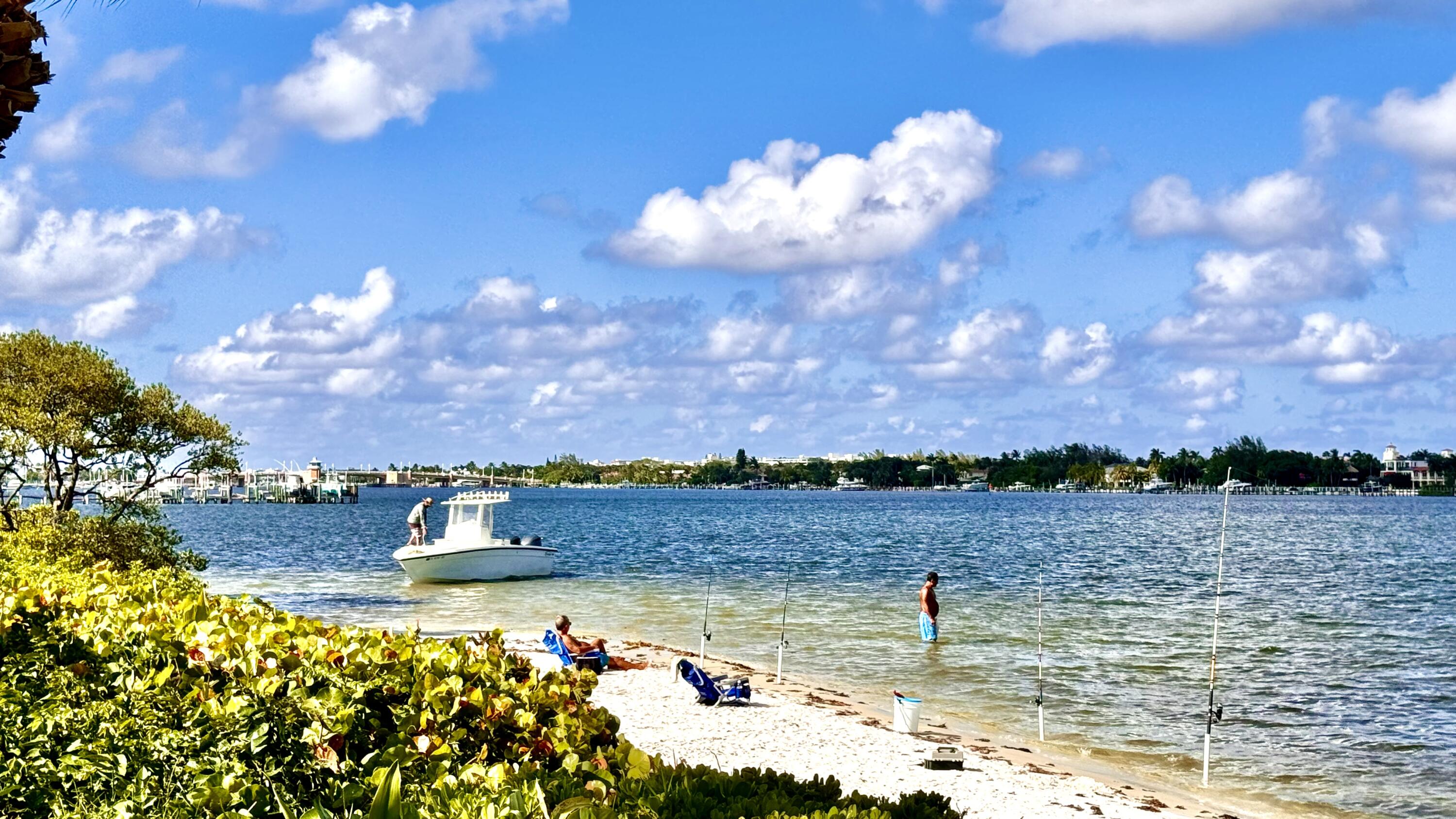 MLS #RX-11143466 image #64