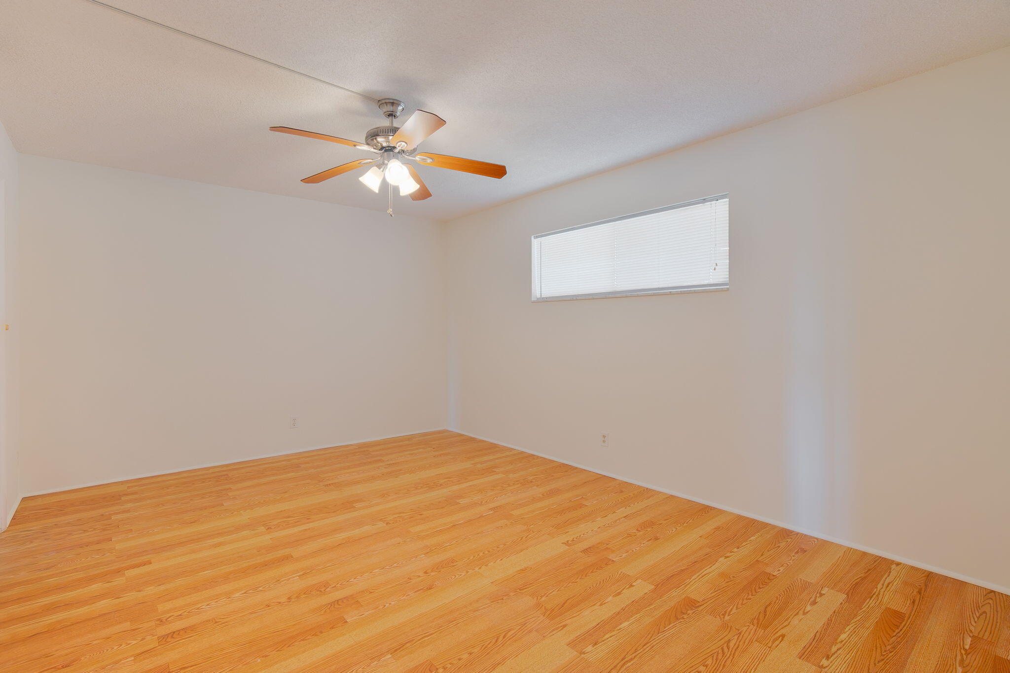 MLS #RX-11143668 image #6