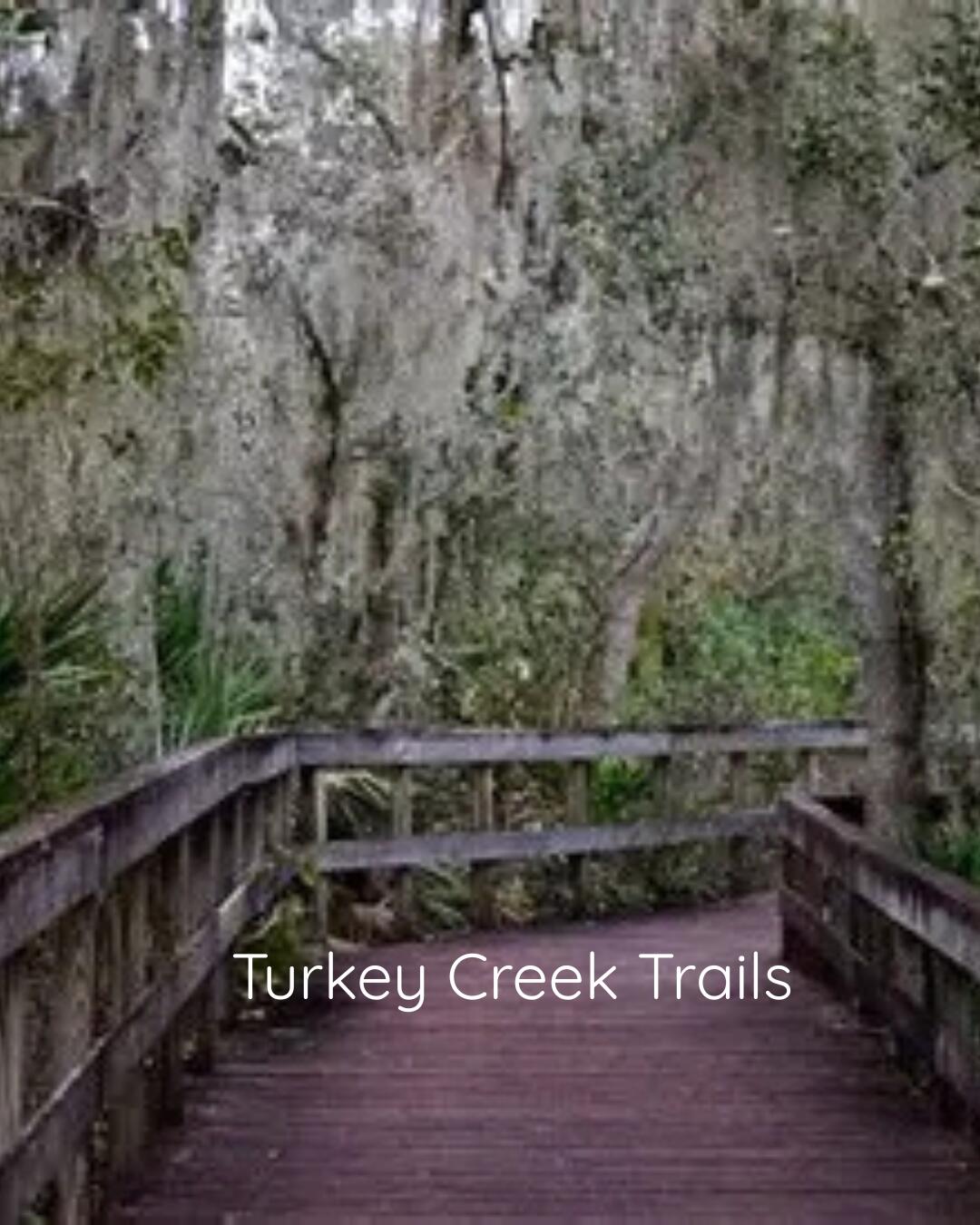 MLS #RX-11143687 image #65