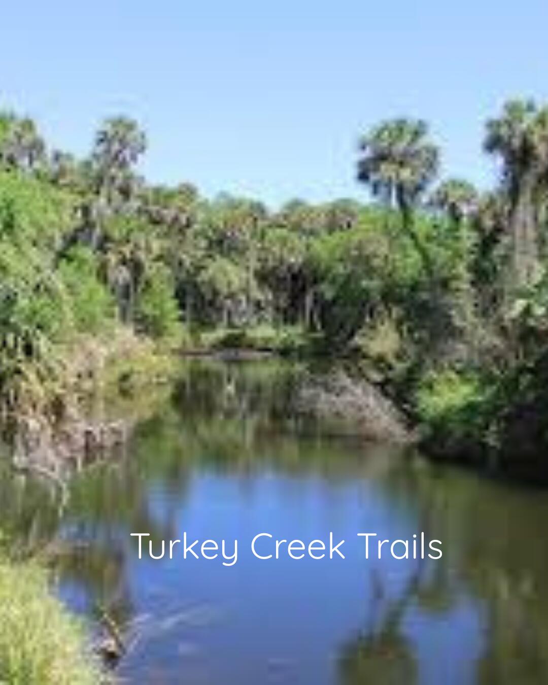 MLS #RX-11143687 image #66