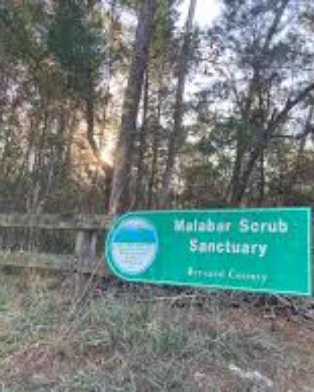 MLS #RX-11143687 image #67