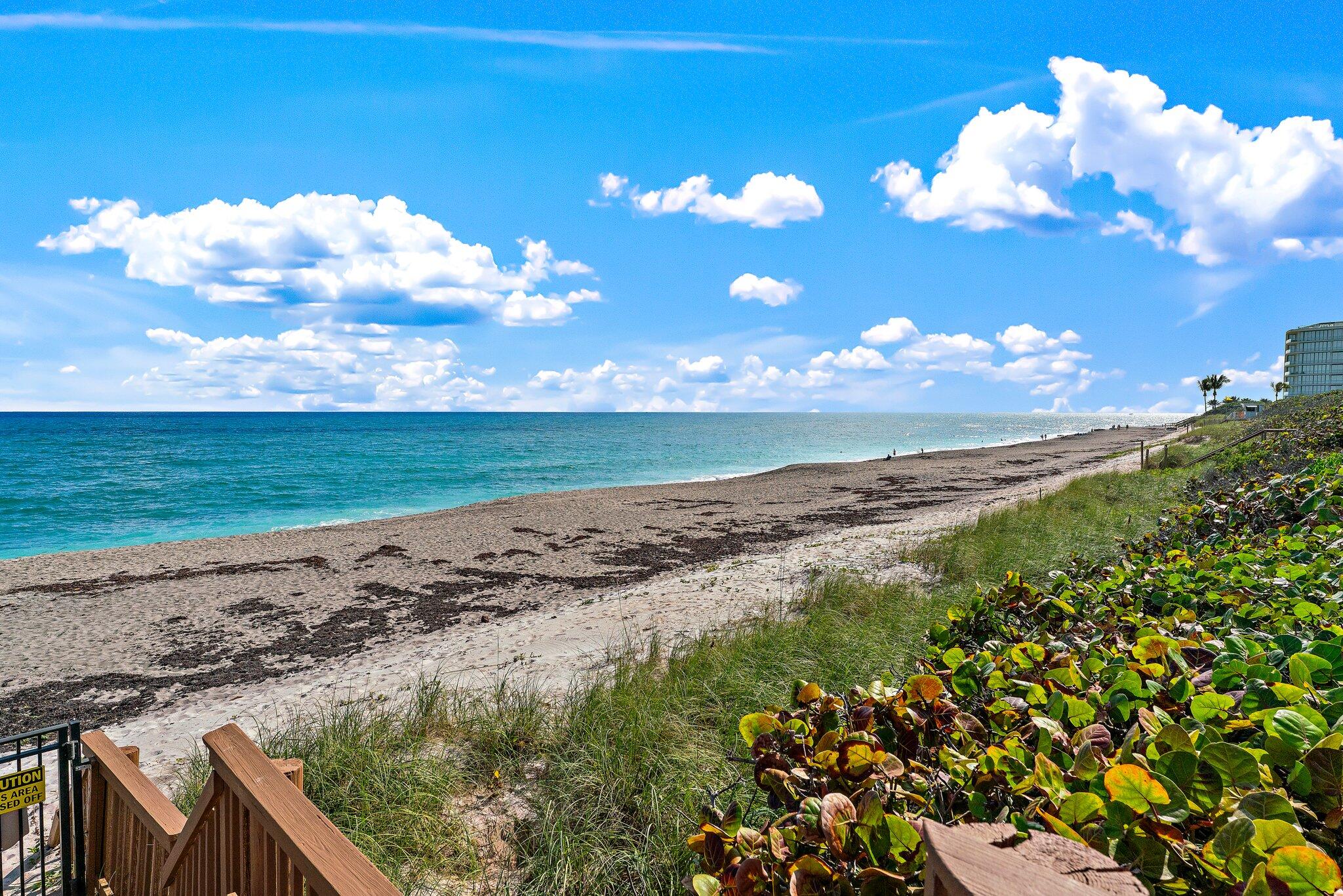 MLS #RX-10944040 image #67