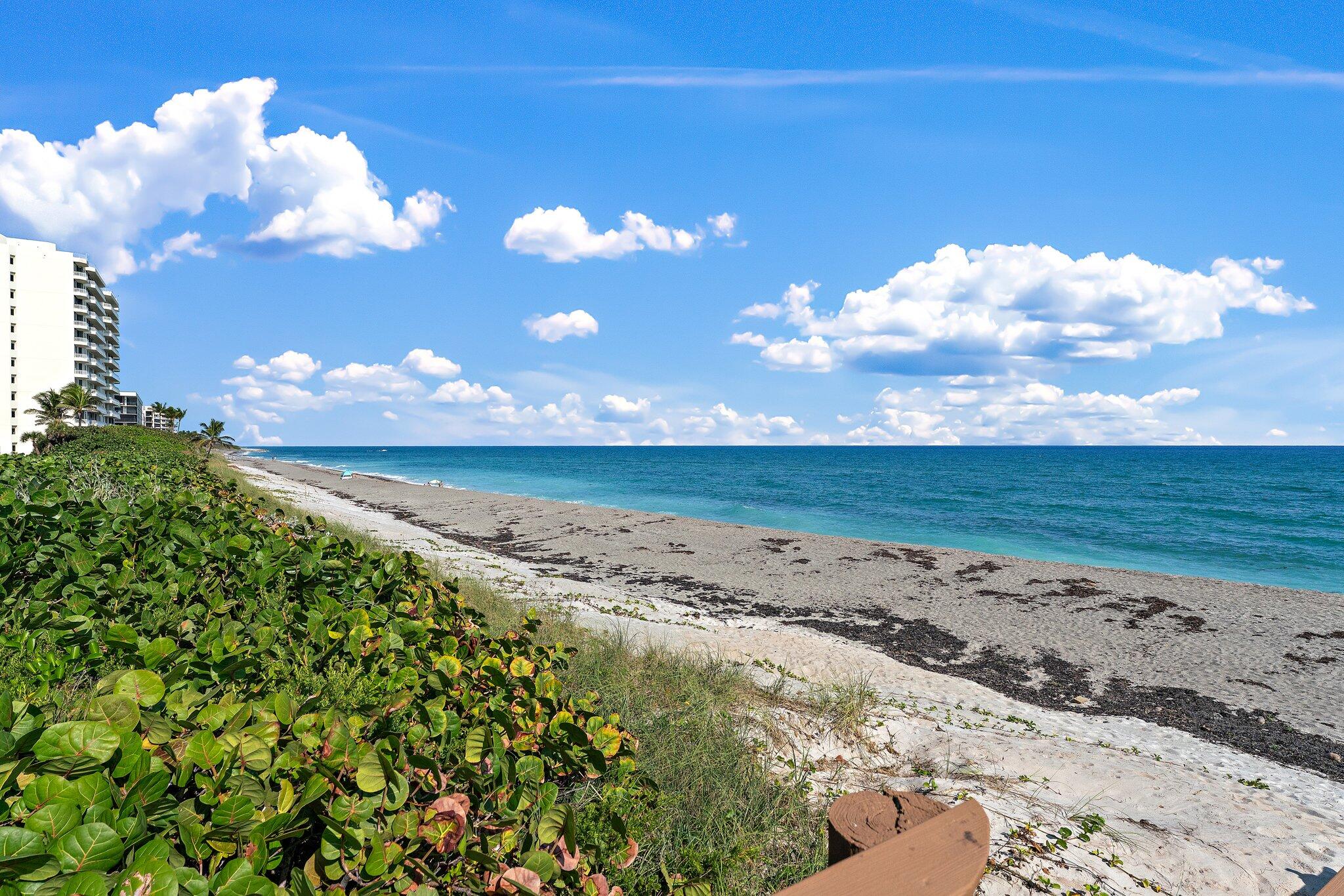 MLS #RX-10944040 image #74