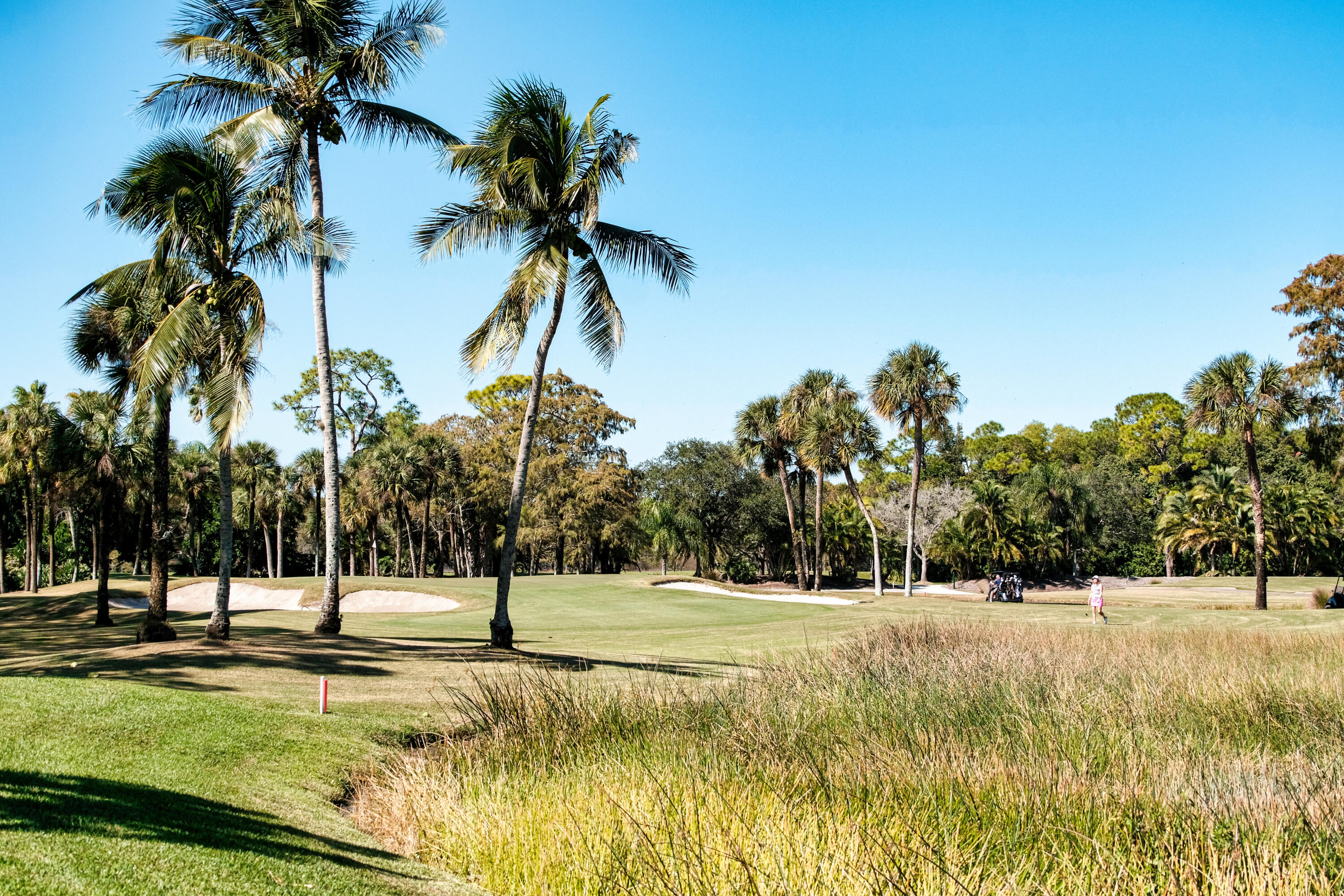 MLS #RX-11143885 image #57