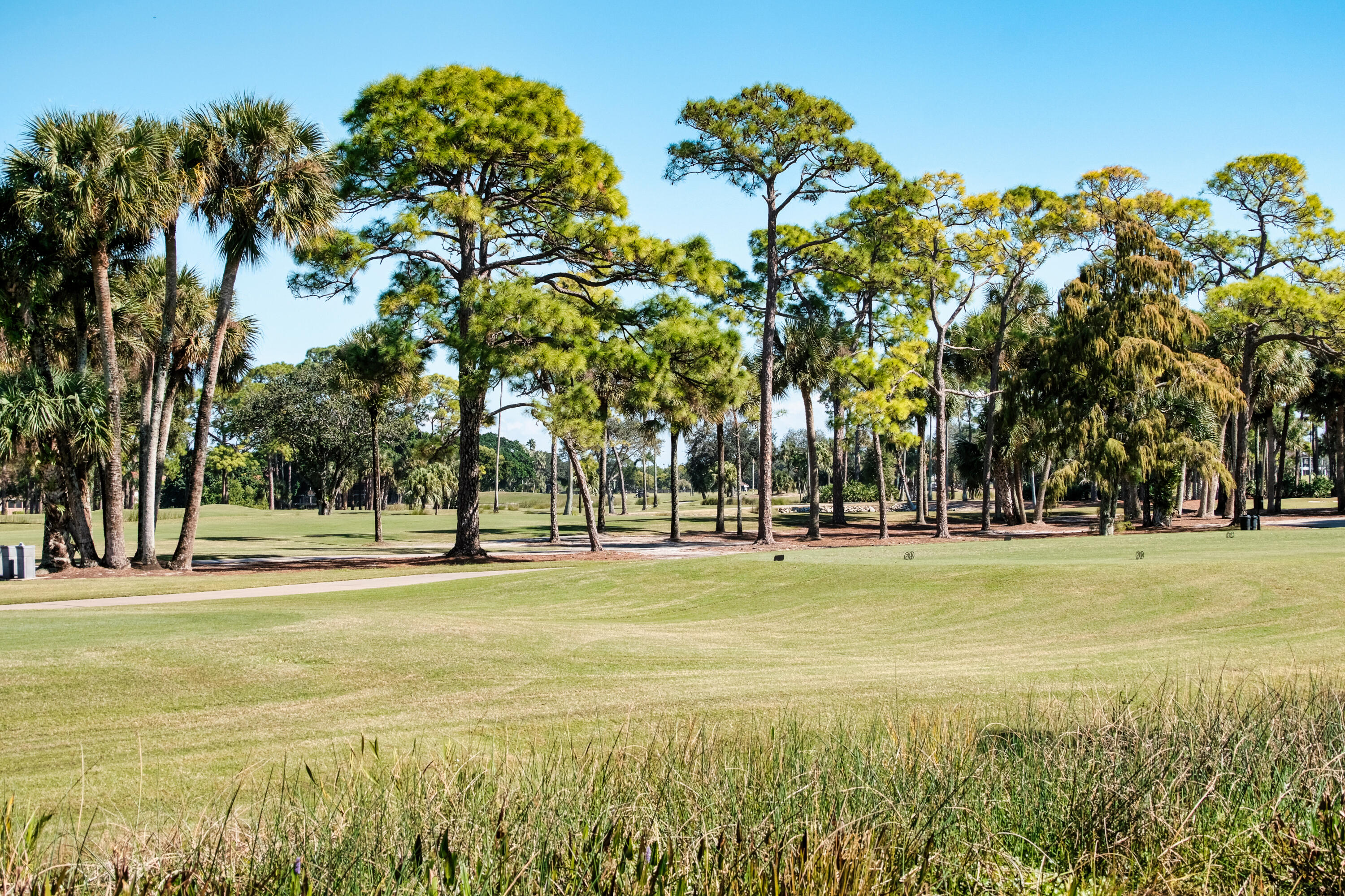 MLS #RX-11143885 image #58