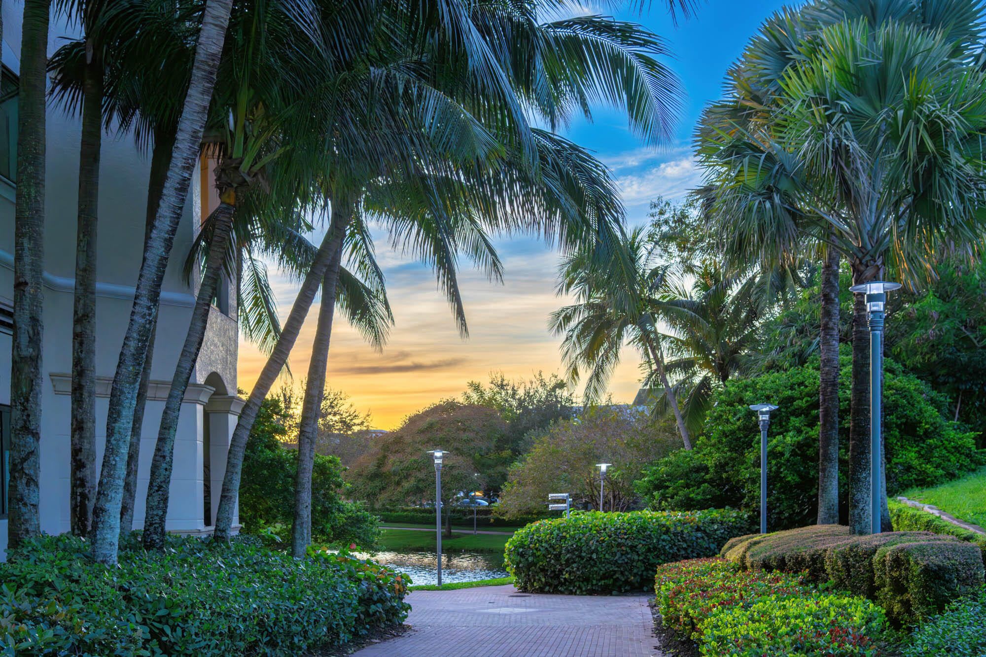 MLS #RX-11143885 image #81