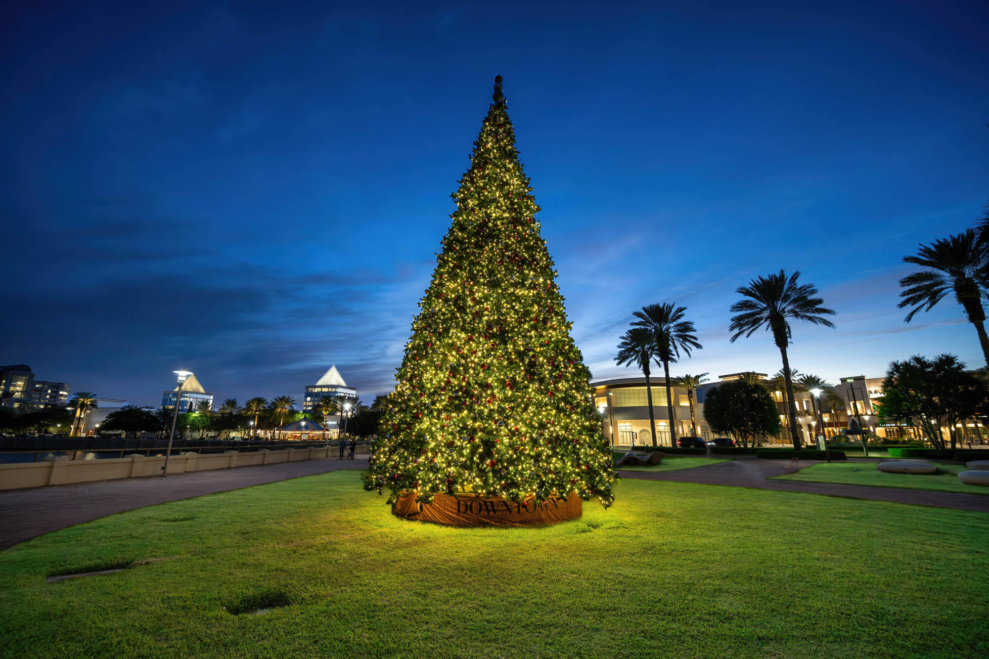 MLS #RX-11143885 image #82