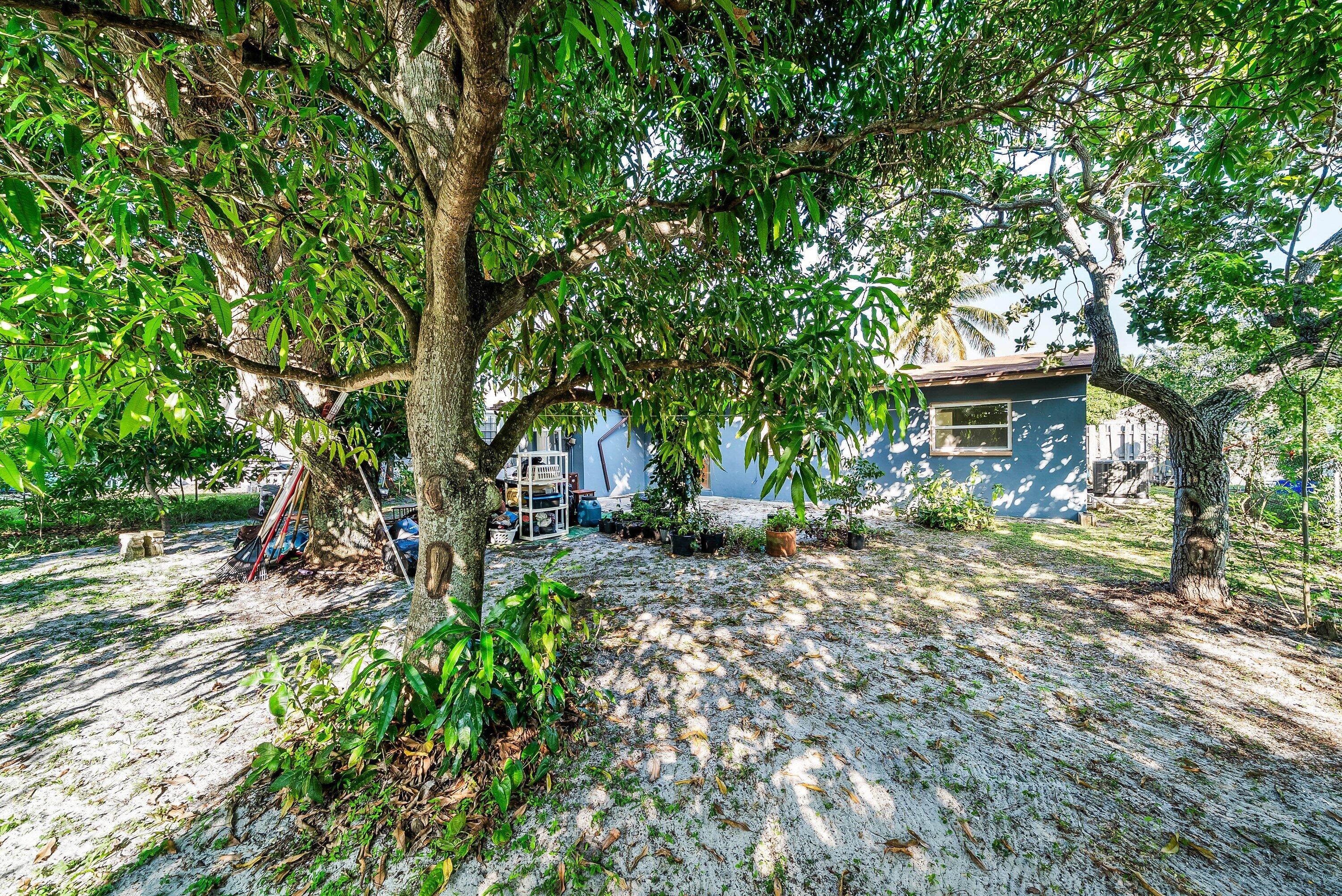 MLS #RX-11143935 image #24