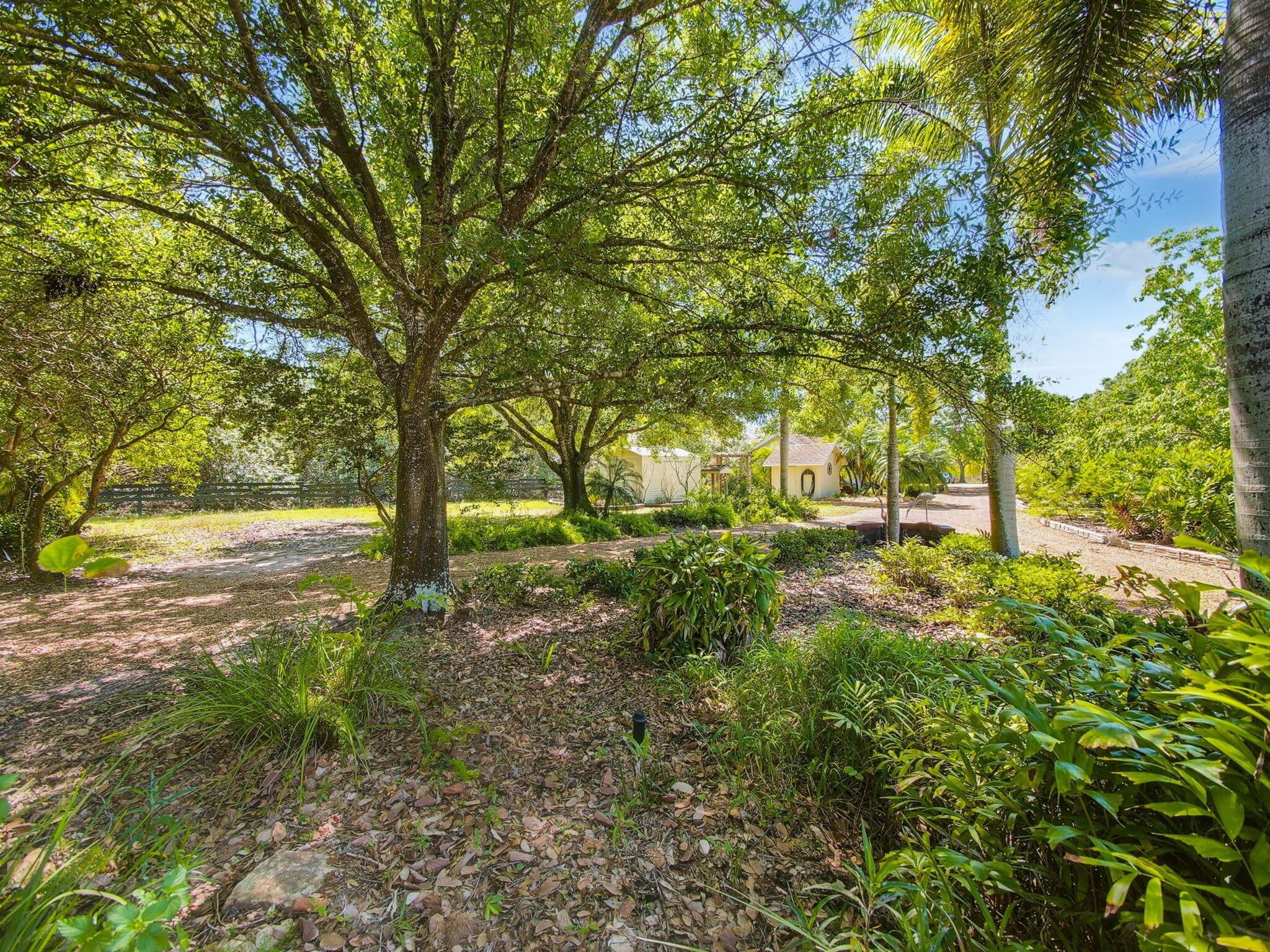 MLS #RX-11144128 image #6