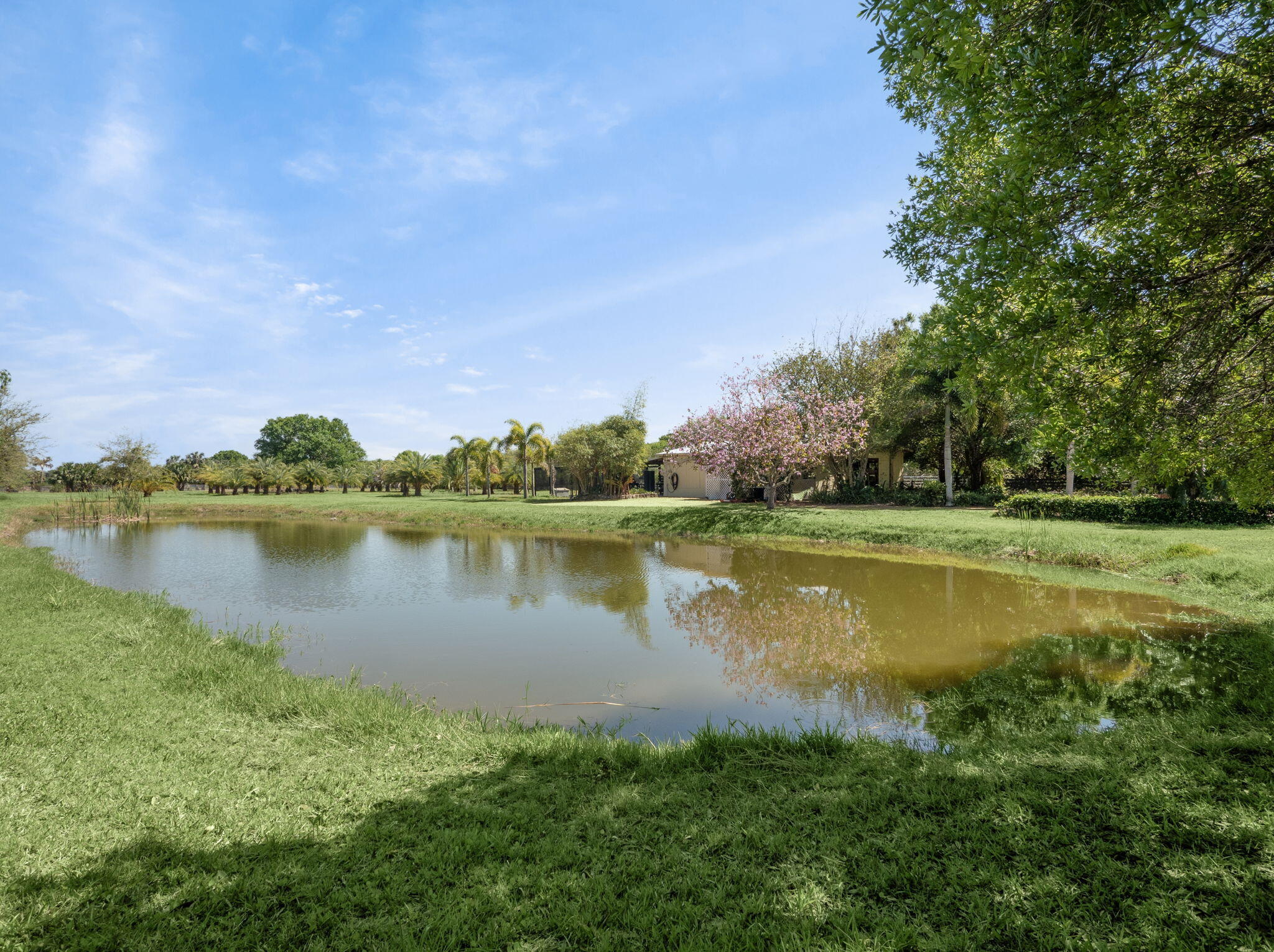 MLS #RX-11144128 image #72