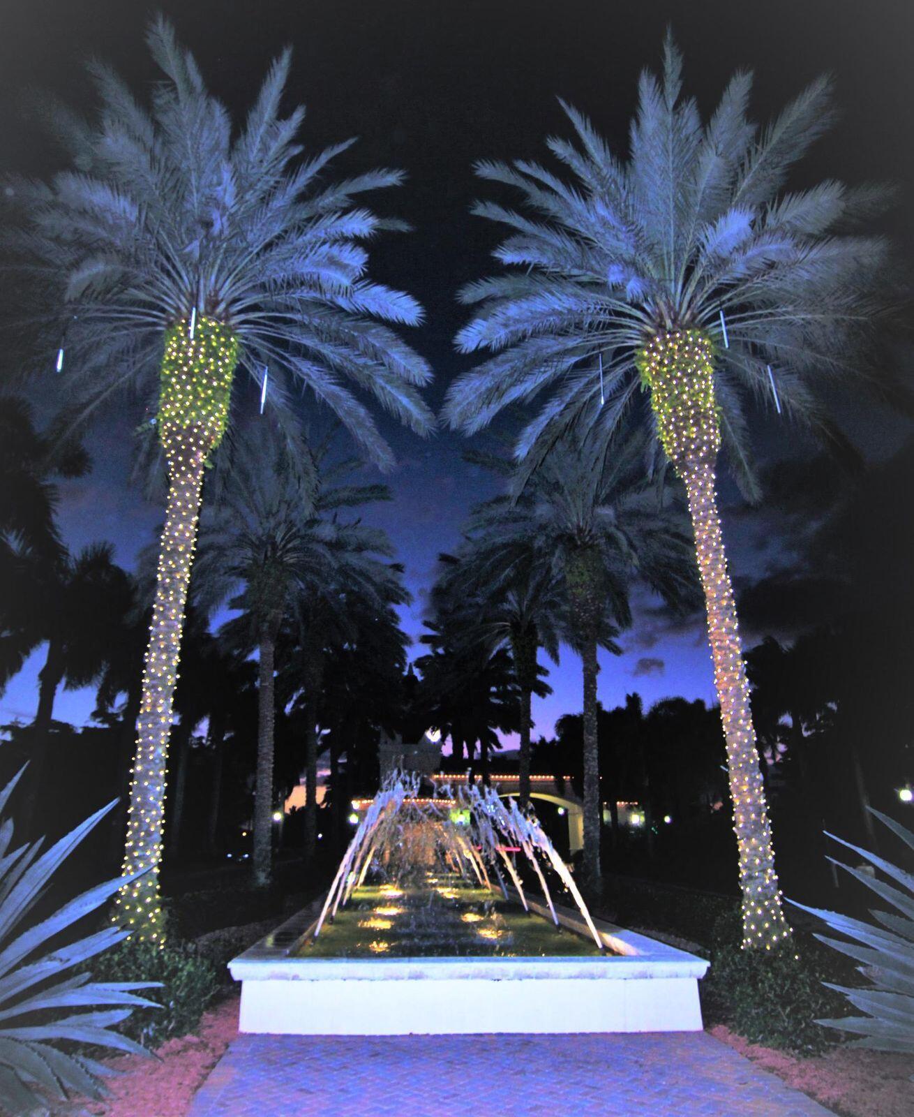 MLS #RX-11144337 image #52