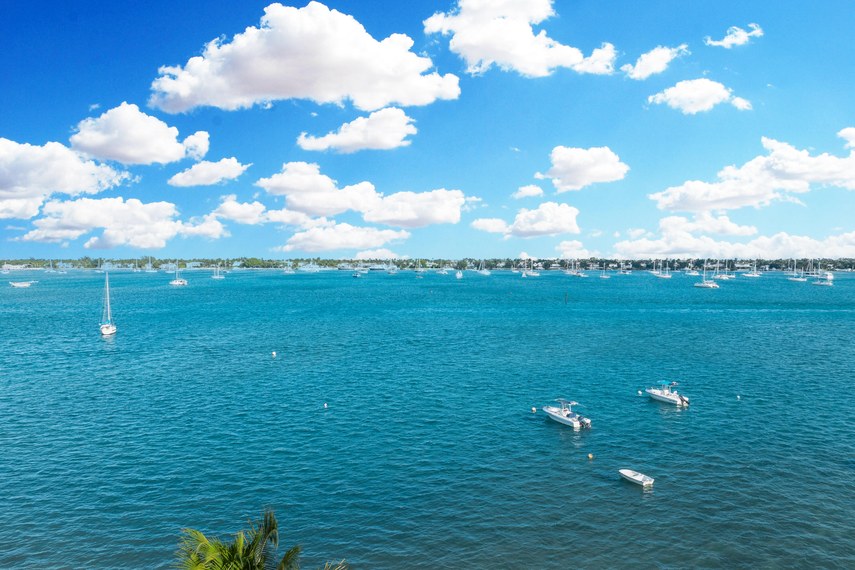 MLS #RX-11144403 image #31