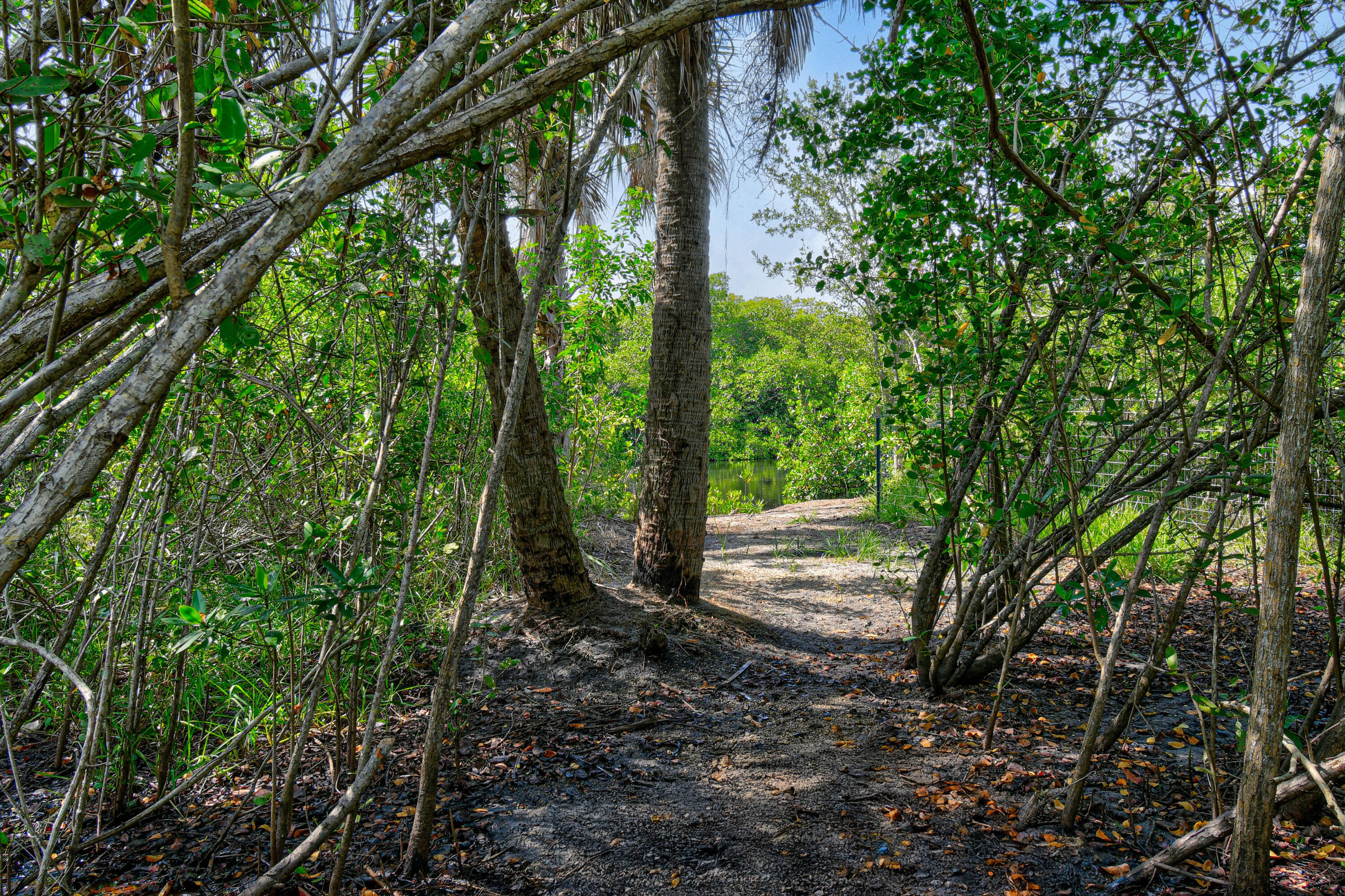 MLS #RX-11144447 image #93