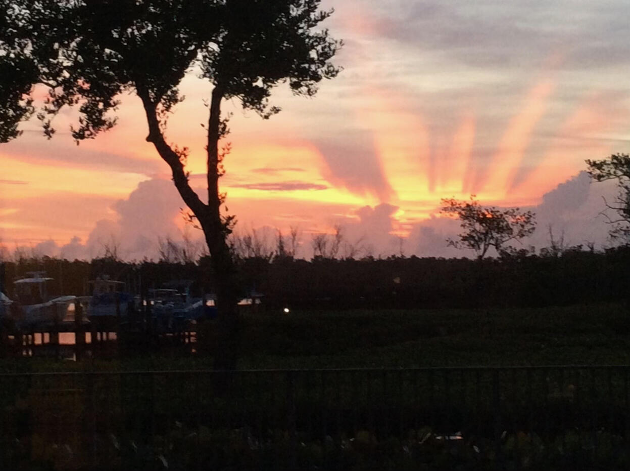 MLS #RX-10963318 image #55