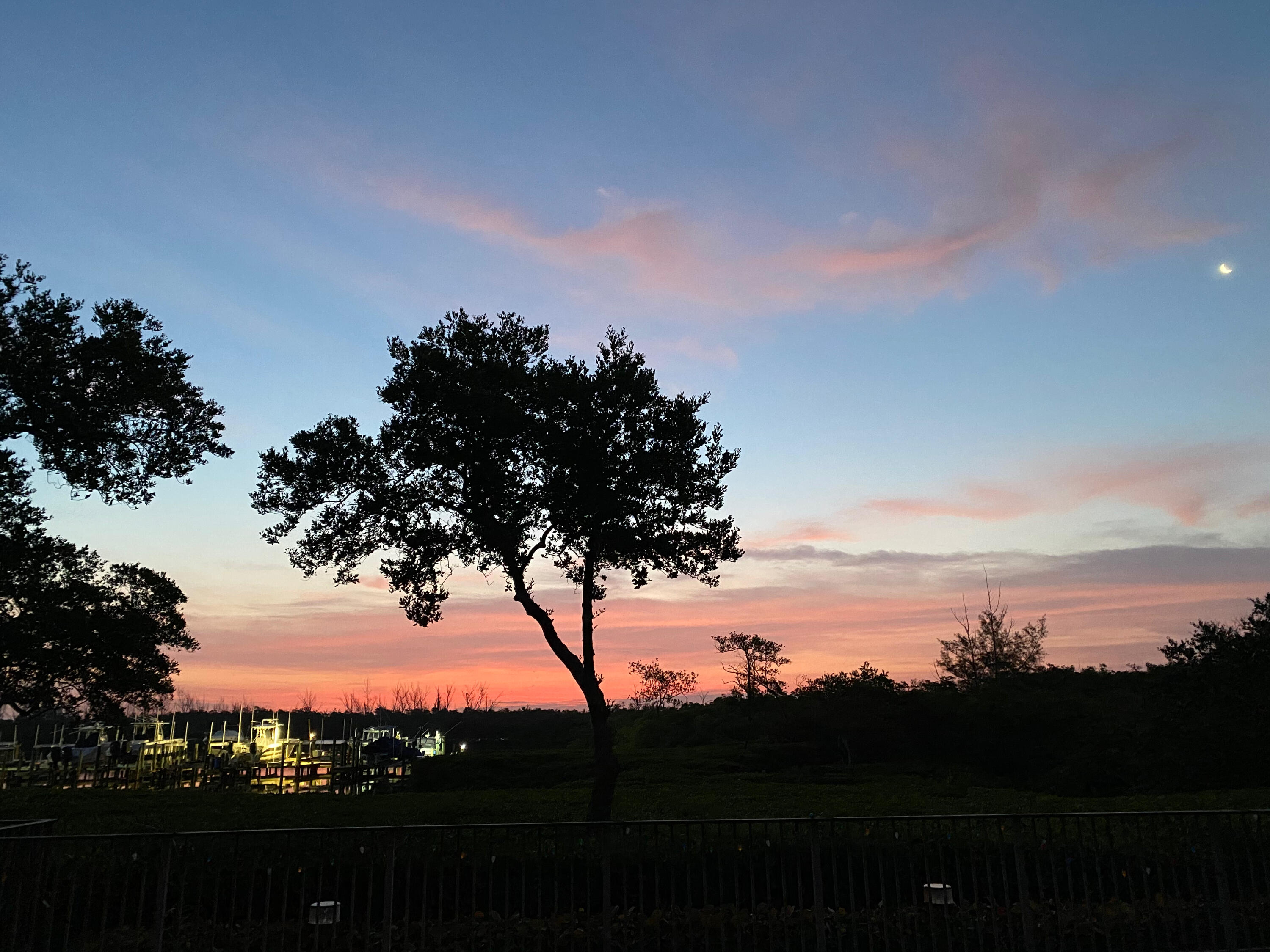 MLS #RX-10963318 image #66