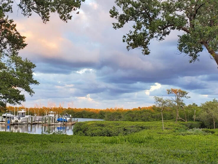 MLS #RX-10963318 image #68