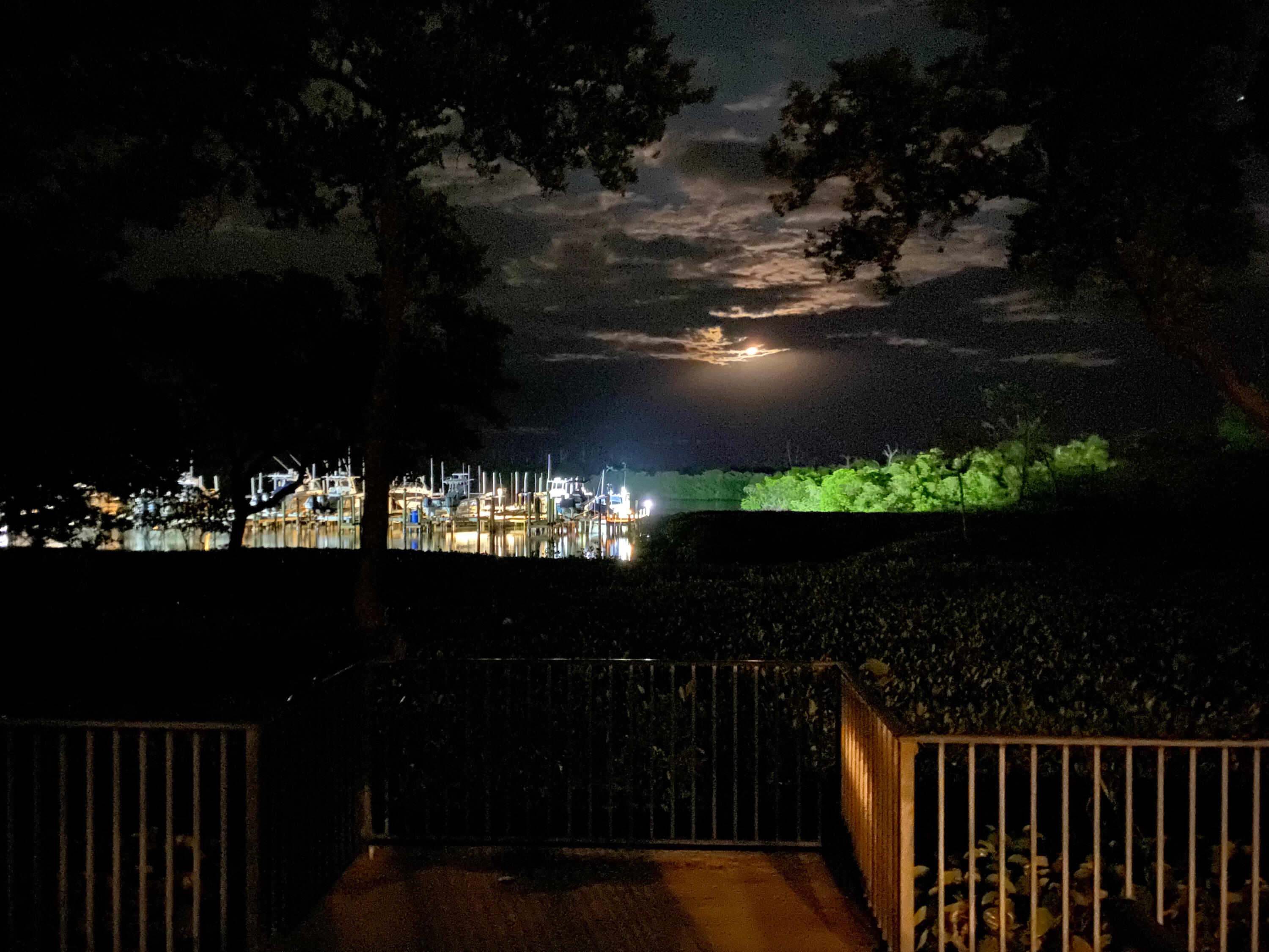 MLS #RX-10963318 image #71