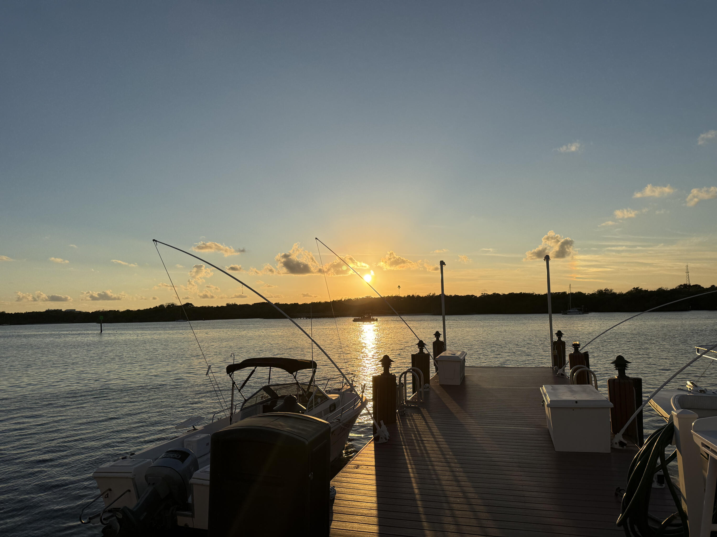 MLS #RX-11033912 image #4